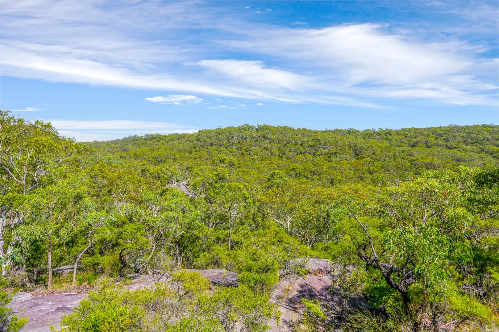 7 Marra Avenue, Canoelands, NSW, Canoelands - Thumbnail 8