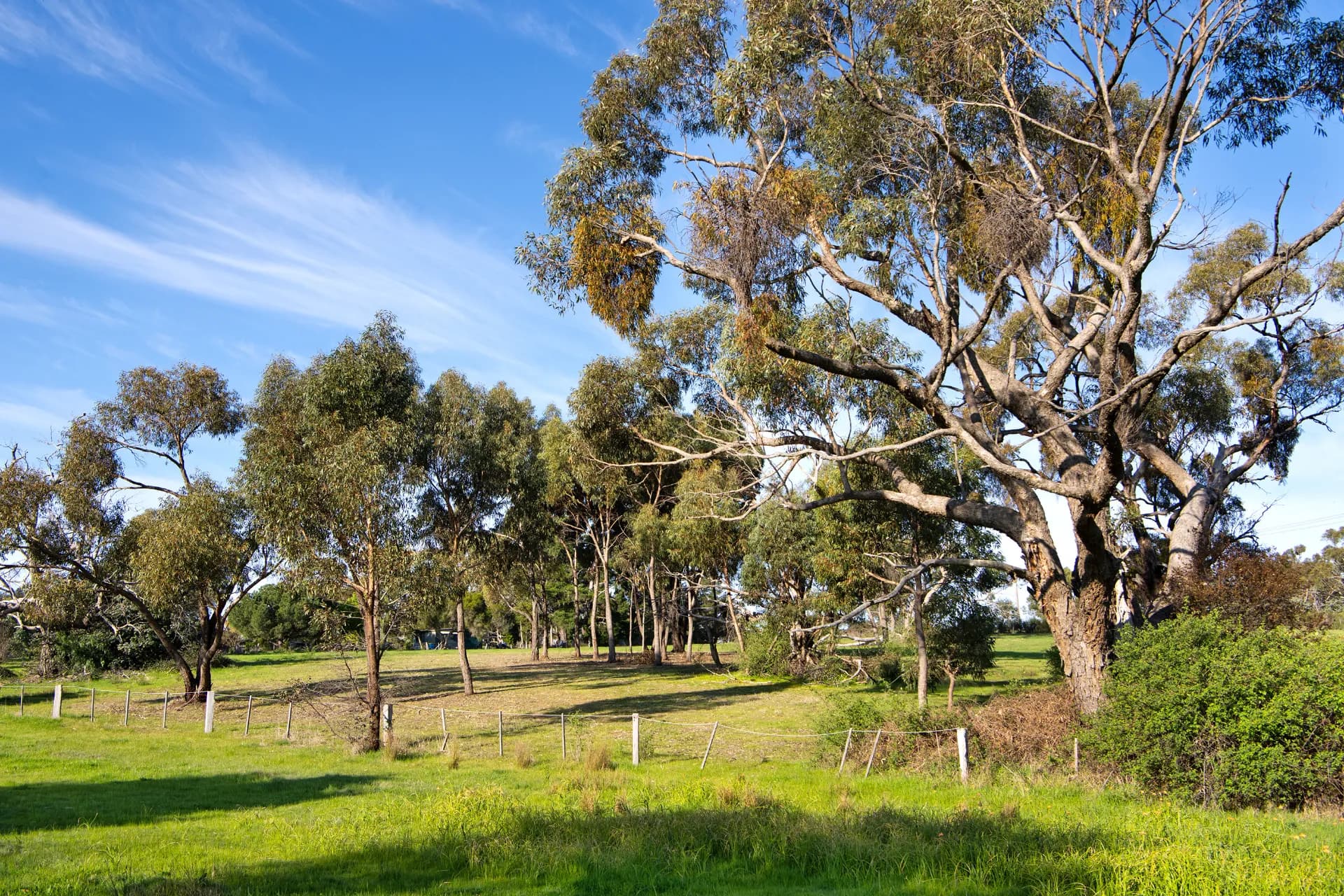 29 Johns Road, Maldon, VIC, Maldon - Thumbnail 6
