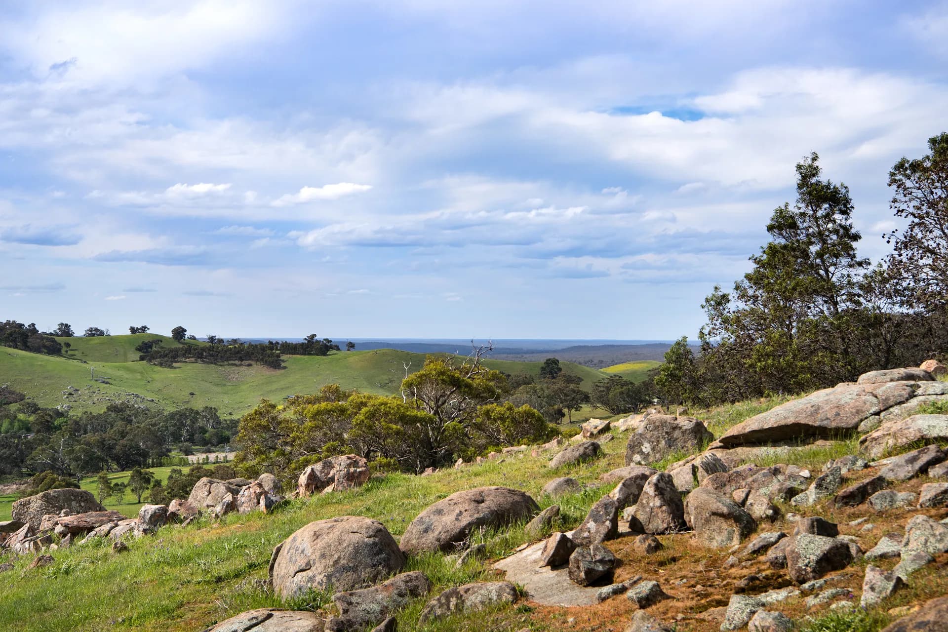 93 Youngs Lane, Sedgwick, VIC, Sedgwick - Thumbnail 6