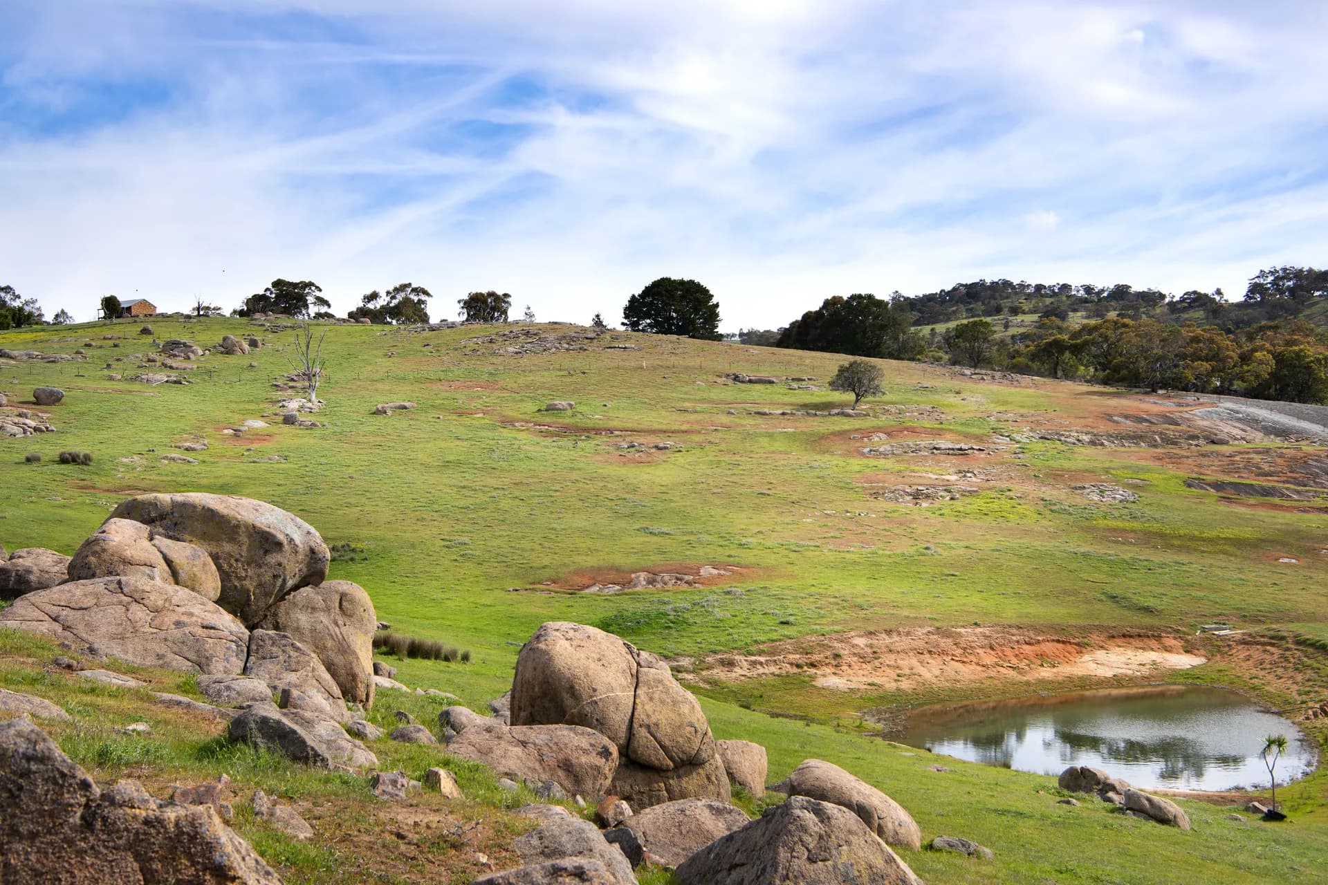 93 Youngs Lane, Sedgwick, VIC, Sedgwick - Thumbnail 7
