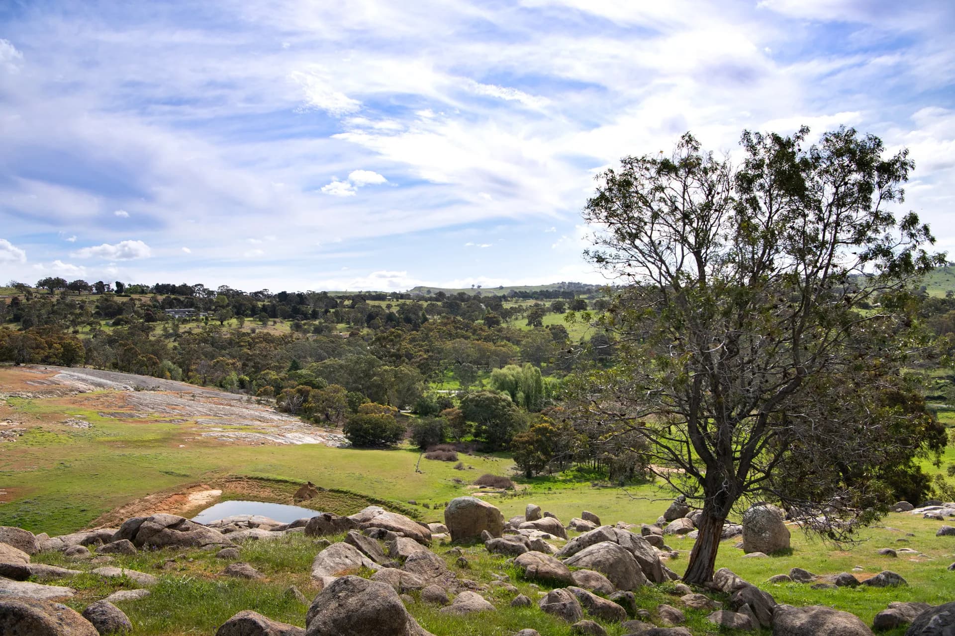 93 Youngs Lane, Sedgwick, VIC, Sedgwick - Thumbnail 8