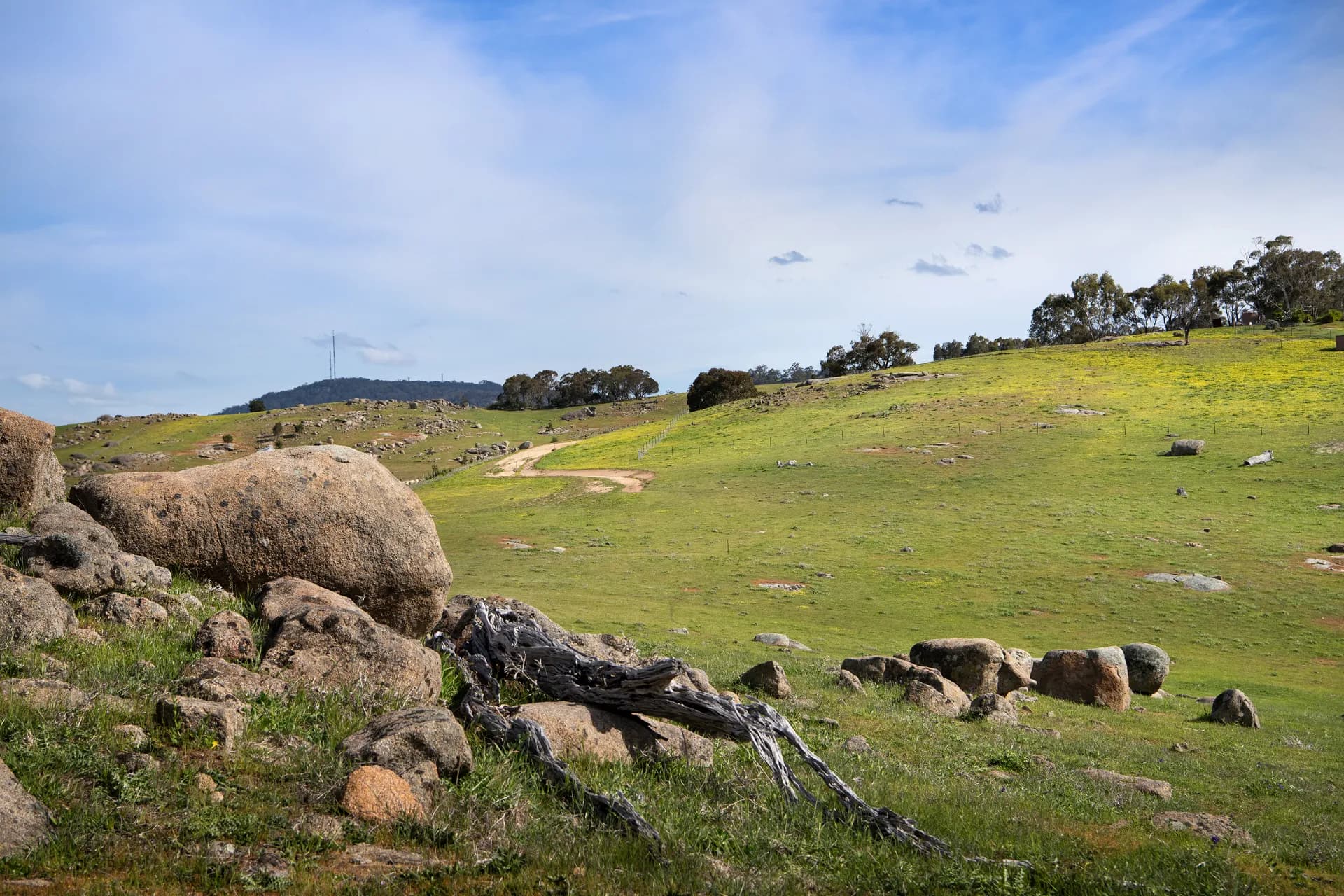 93 Youngs Lane, Sedgwick, VIC, Sedgwick - Thumbnail 3