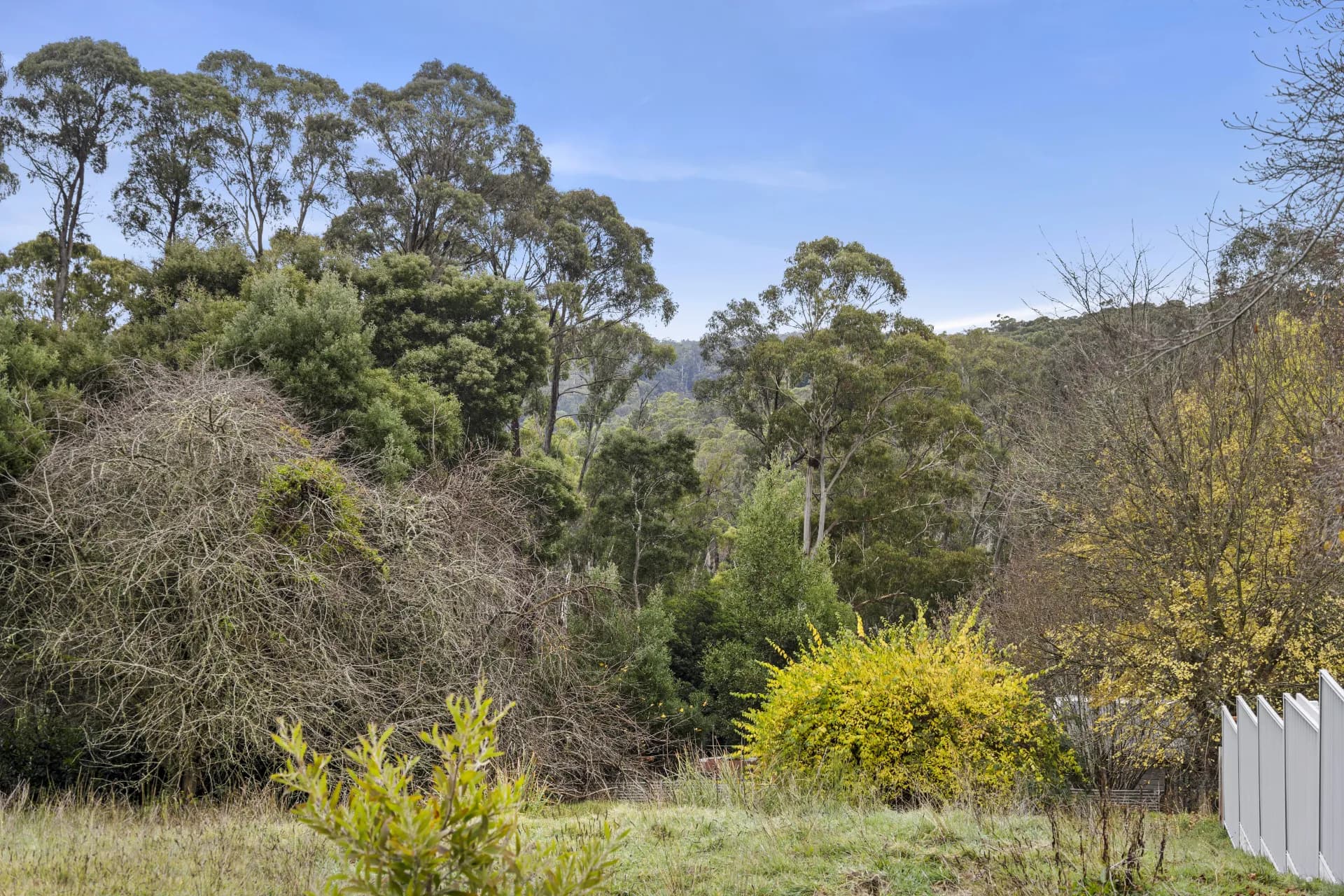 31 Golden Point Road, Blackwood, VIC, Blackwood - Thumbnail 4