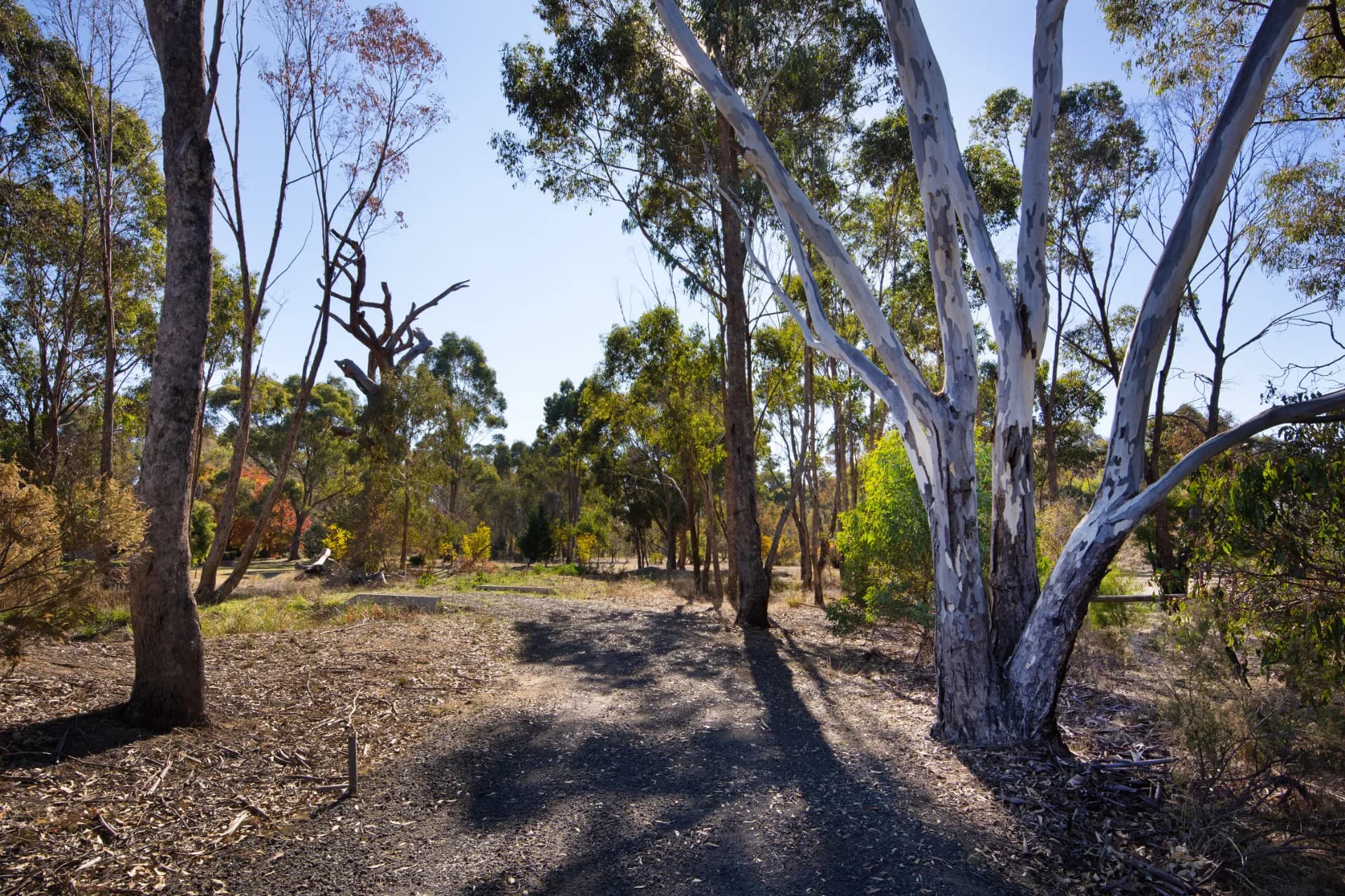 13a Homebush  Drive, Junortoun, VIC, Junortoun - Thumbnail 3