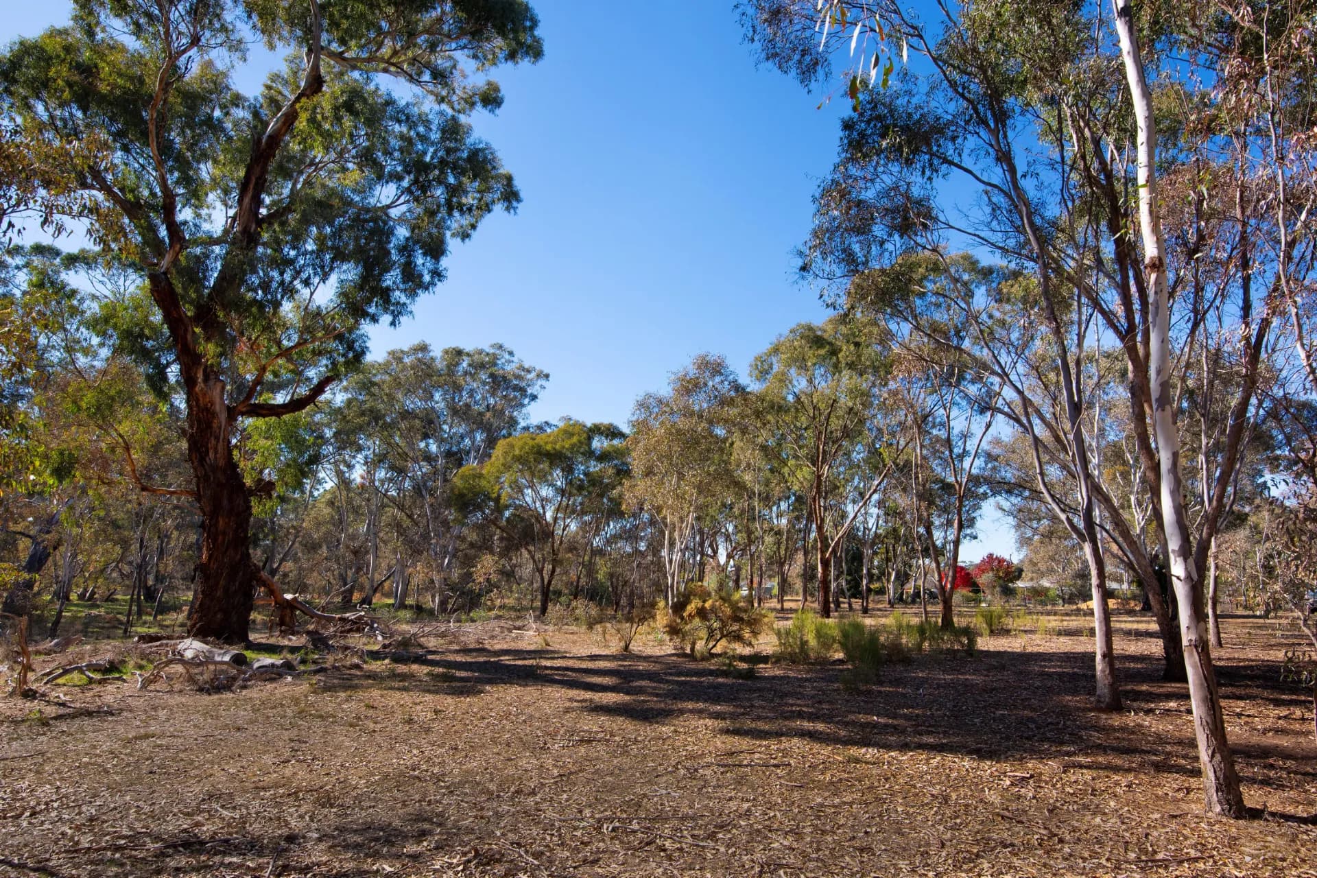 13a Homebush  Drive, Junortoun, VIC, Junortoun - Thumbnail 4