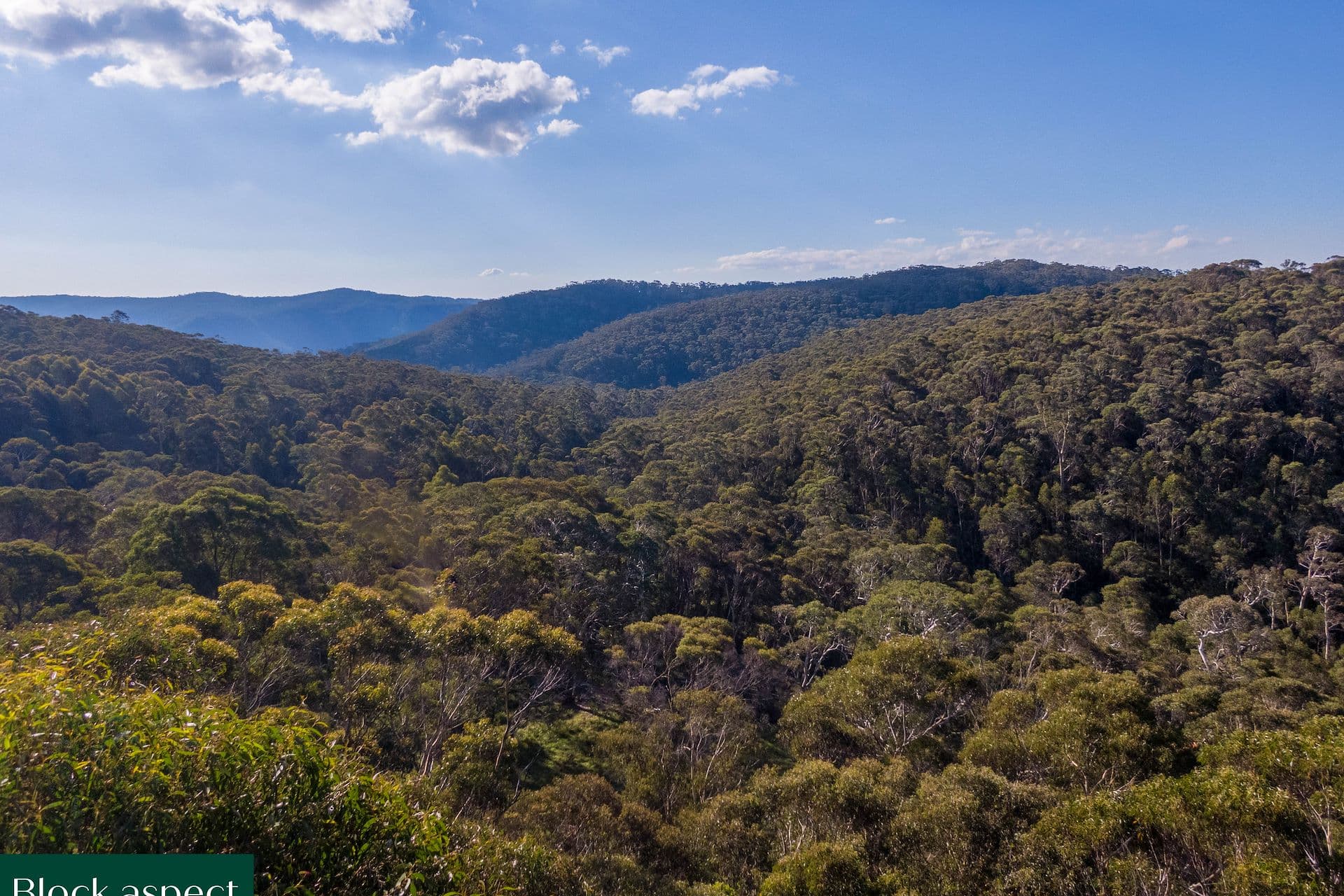 25 Explorers  Road, Katoomba - Thumbnail 8