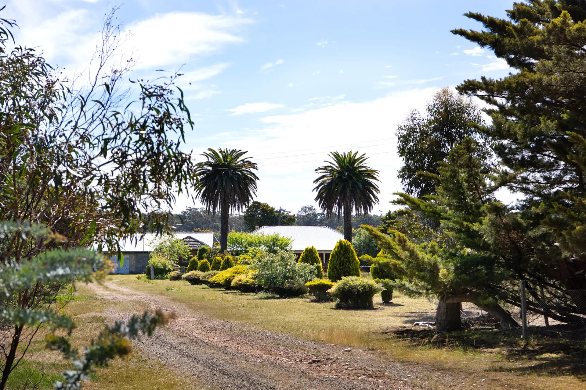 43 Castlemaine-Maldon Road, McKenzie Hill, VIC, McKenzie Hill - Thumbnail 5