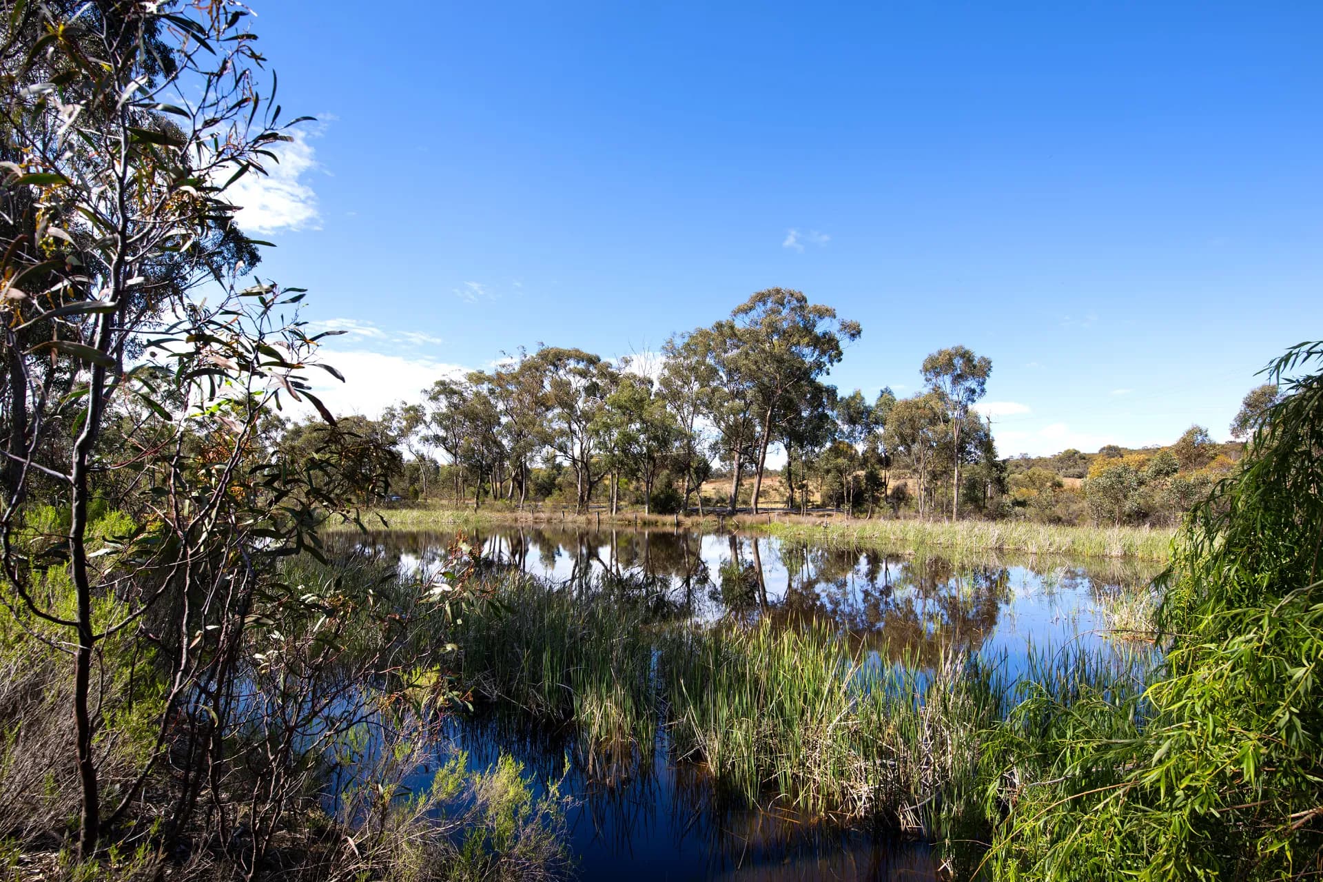 43 Castlemaine-Maldon Road, McKenzie Hill, VIC, McKenzie Hill - Thumbnail 6