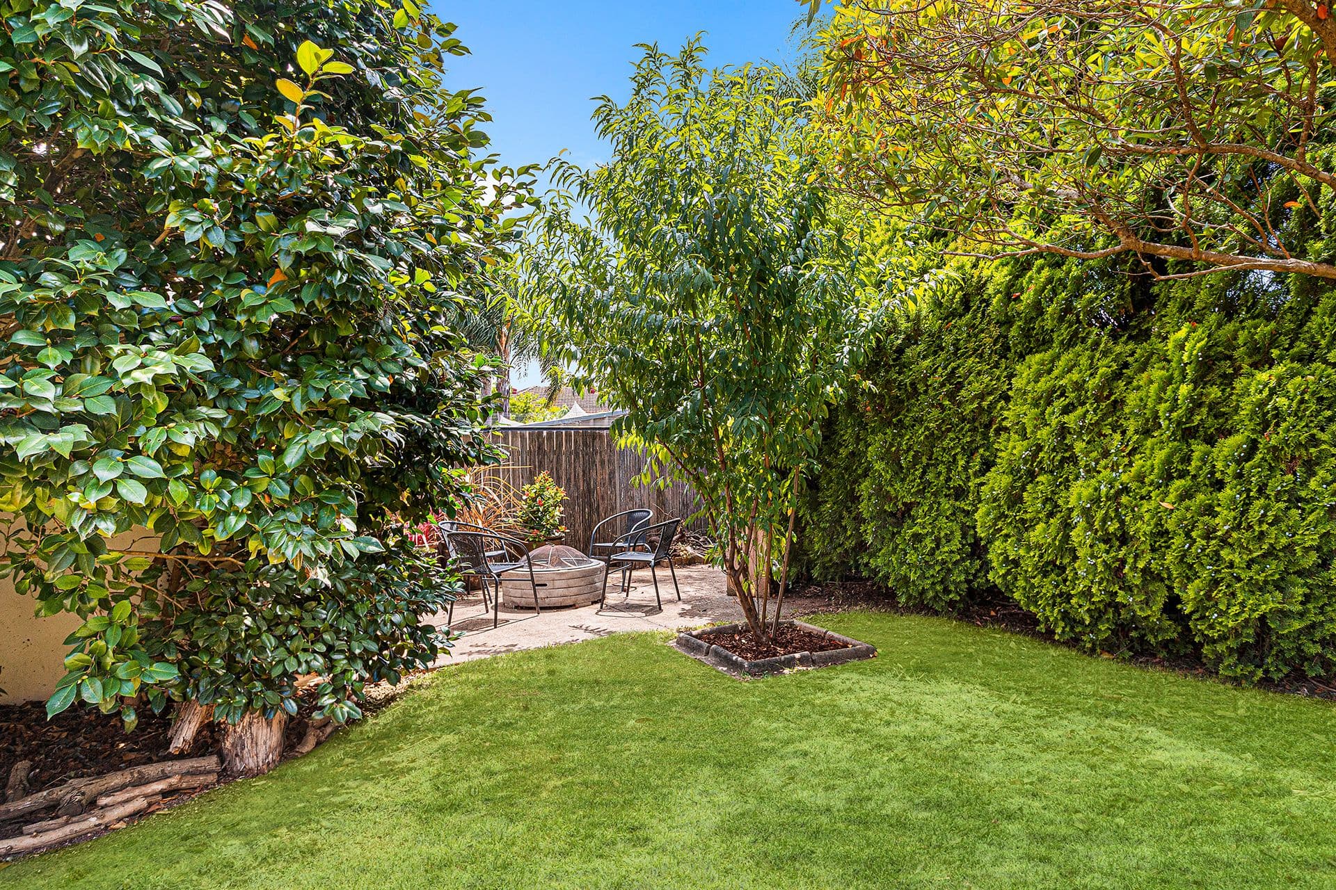 14 Napoleon Street, Riverwood NSW 2210, Riverwood - Thumbnail 8