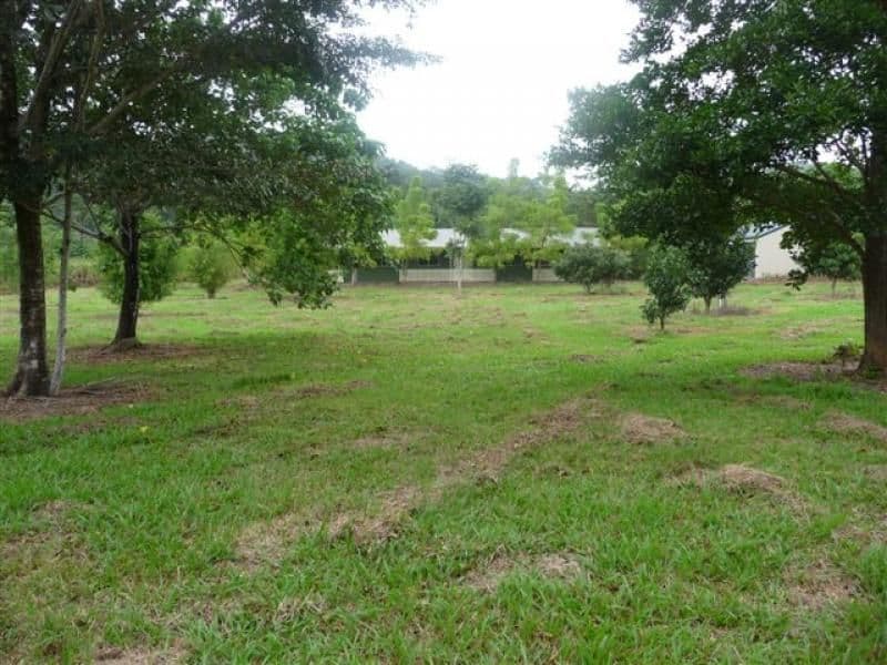Lot 27 Buchanan Creek Road, DAINTREE QLD 4873, Daintree - Thumbnail 7