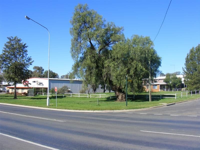 Lot 2 Shelley Street, COWRA NSW 2794, Cowra - Thumbnail 6
