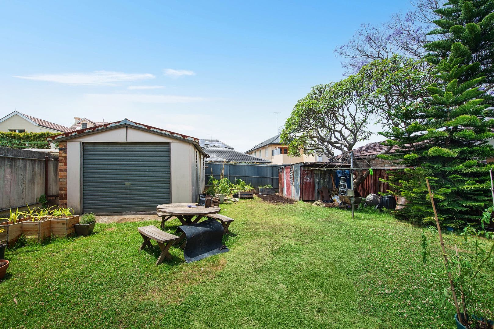 3 Shaw Street, Petersham NSW 2049, Petersham - Thumbnail 4