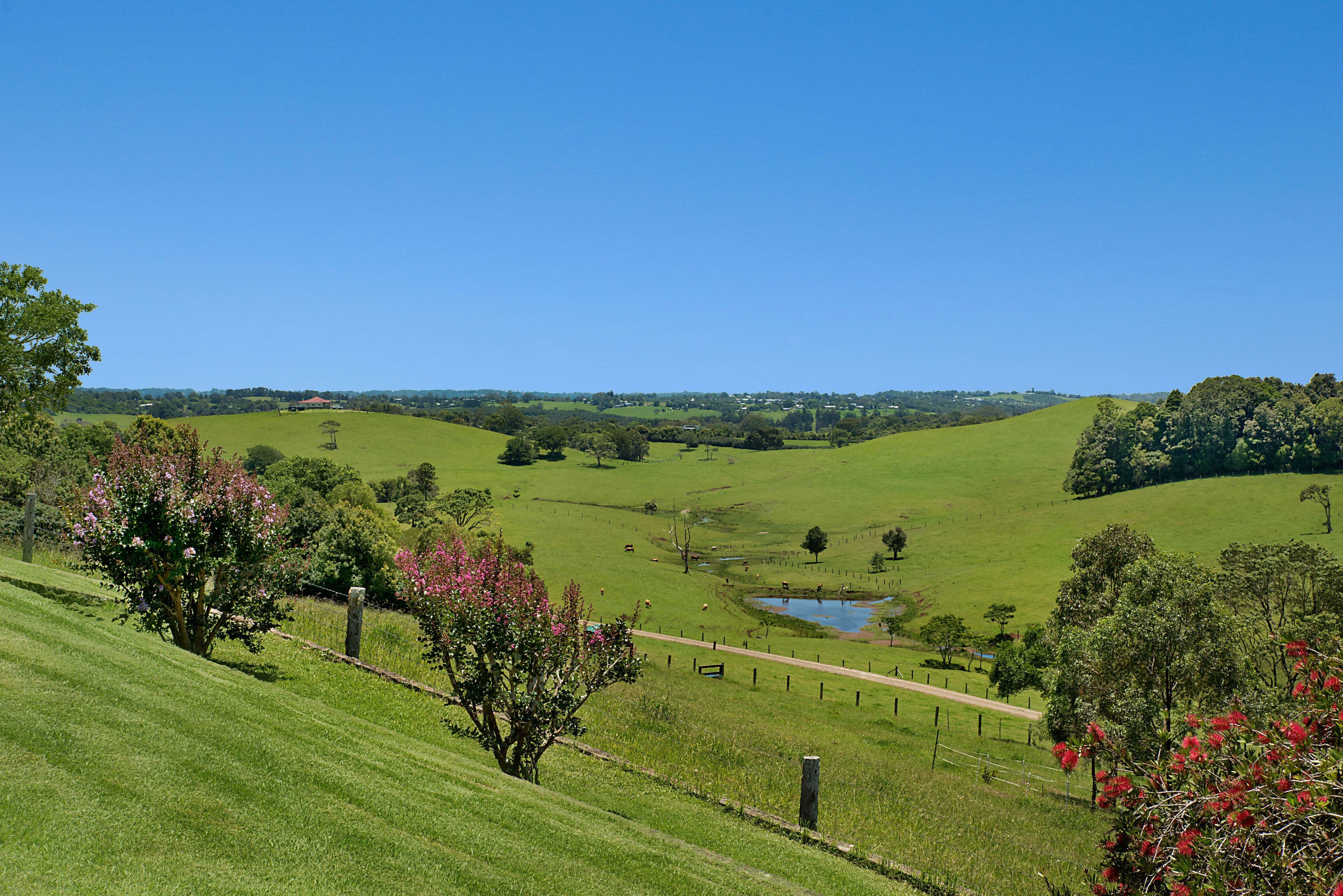 667 Maleny Stanley River Road, Wootha QLD 4552, Wootha - Thumbnail 4