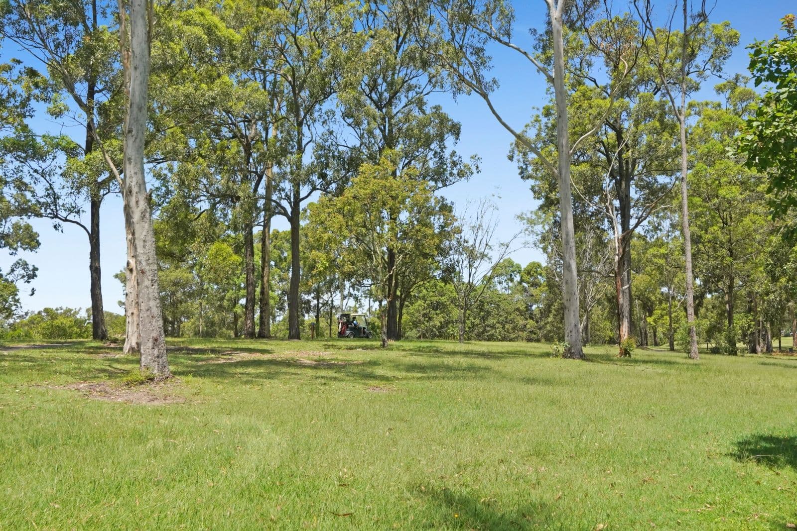 23 Chichester Drive, Arundel QLD 4214, Arundel - Thumbnail 3