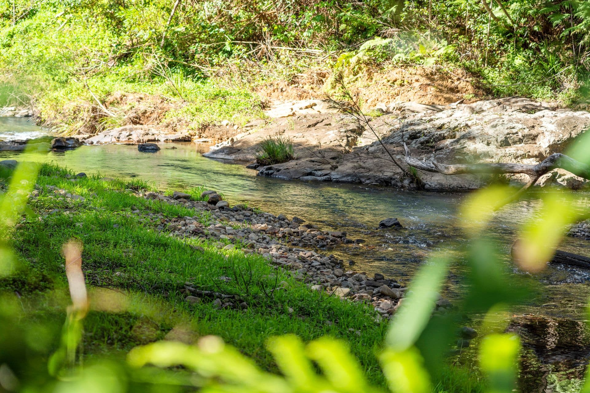 Currumbin Valley QLD 4223, Currumbin Valley - Thumbnail 3