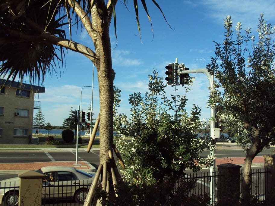 392 Marine Parade, LABRADOR QLD 4215, Labrador - Thumbnail 4