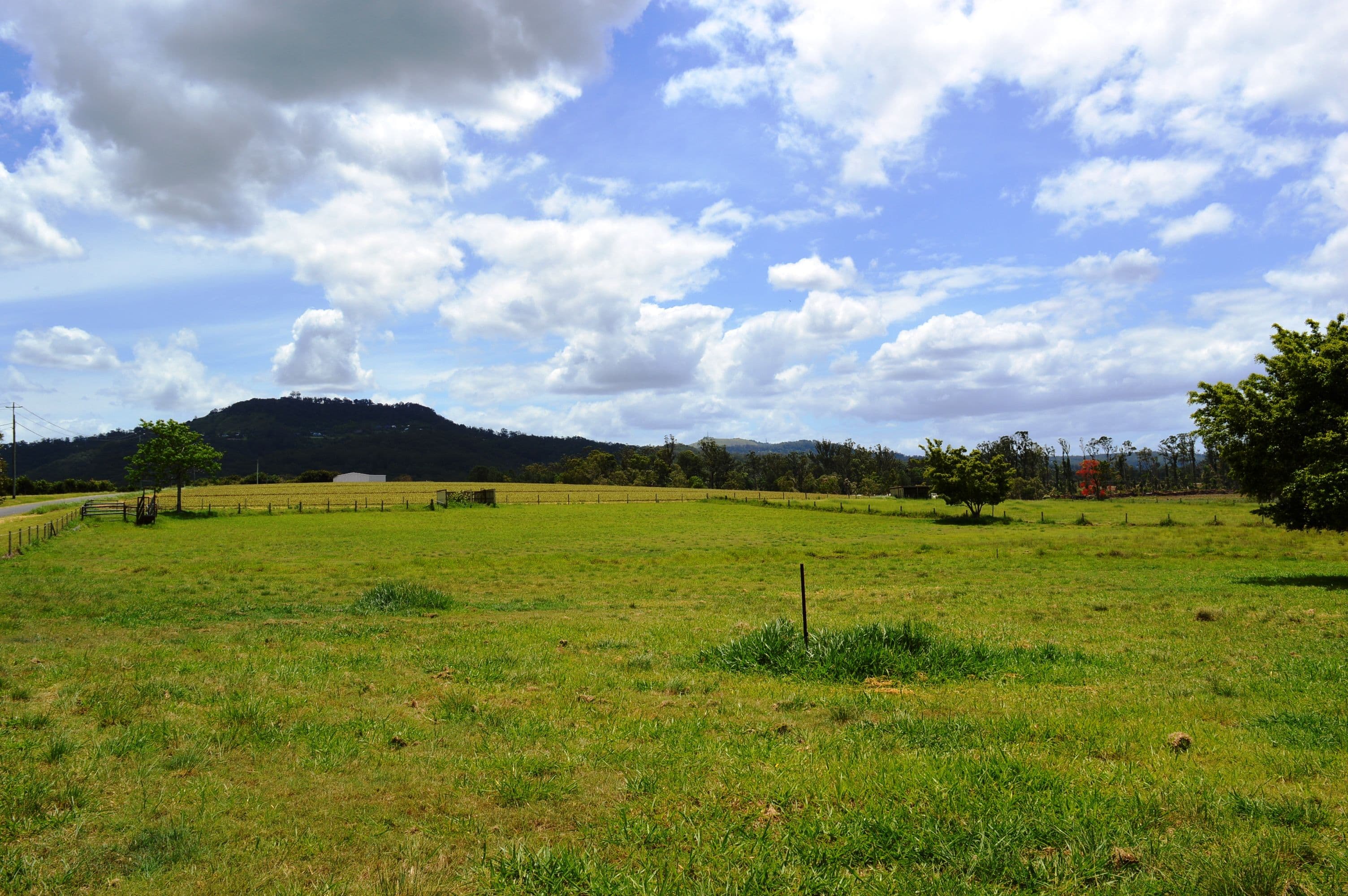 38 Clarkes Road, Beerwah QLD 4519, Beerwah - Image 1