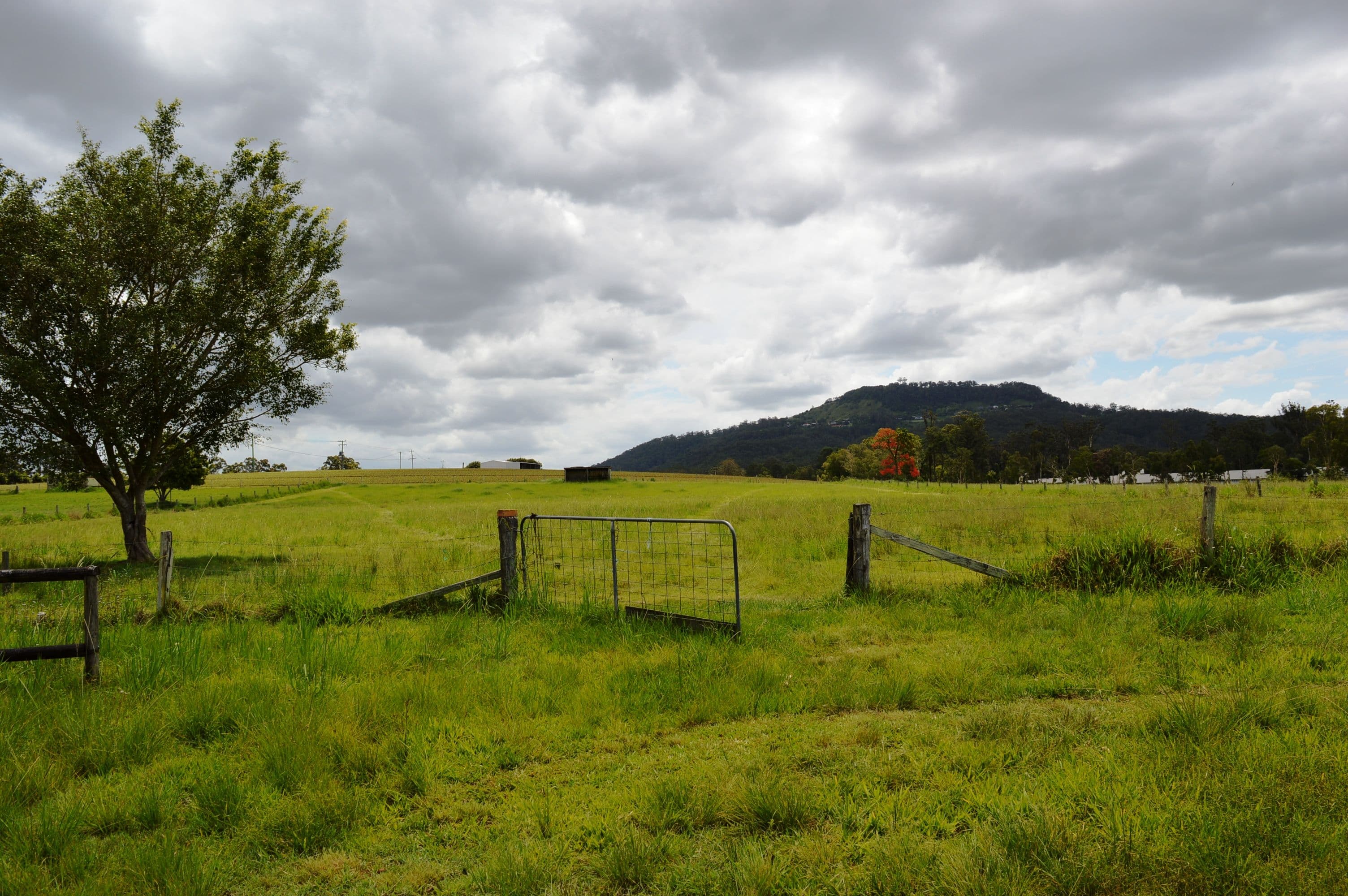38 Clarkes Road, Beerwah QLD 4519, Beerwah - Thumbnail 2