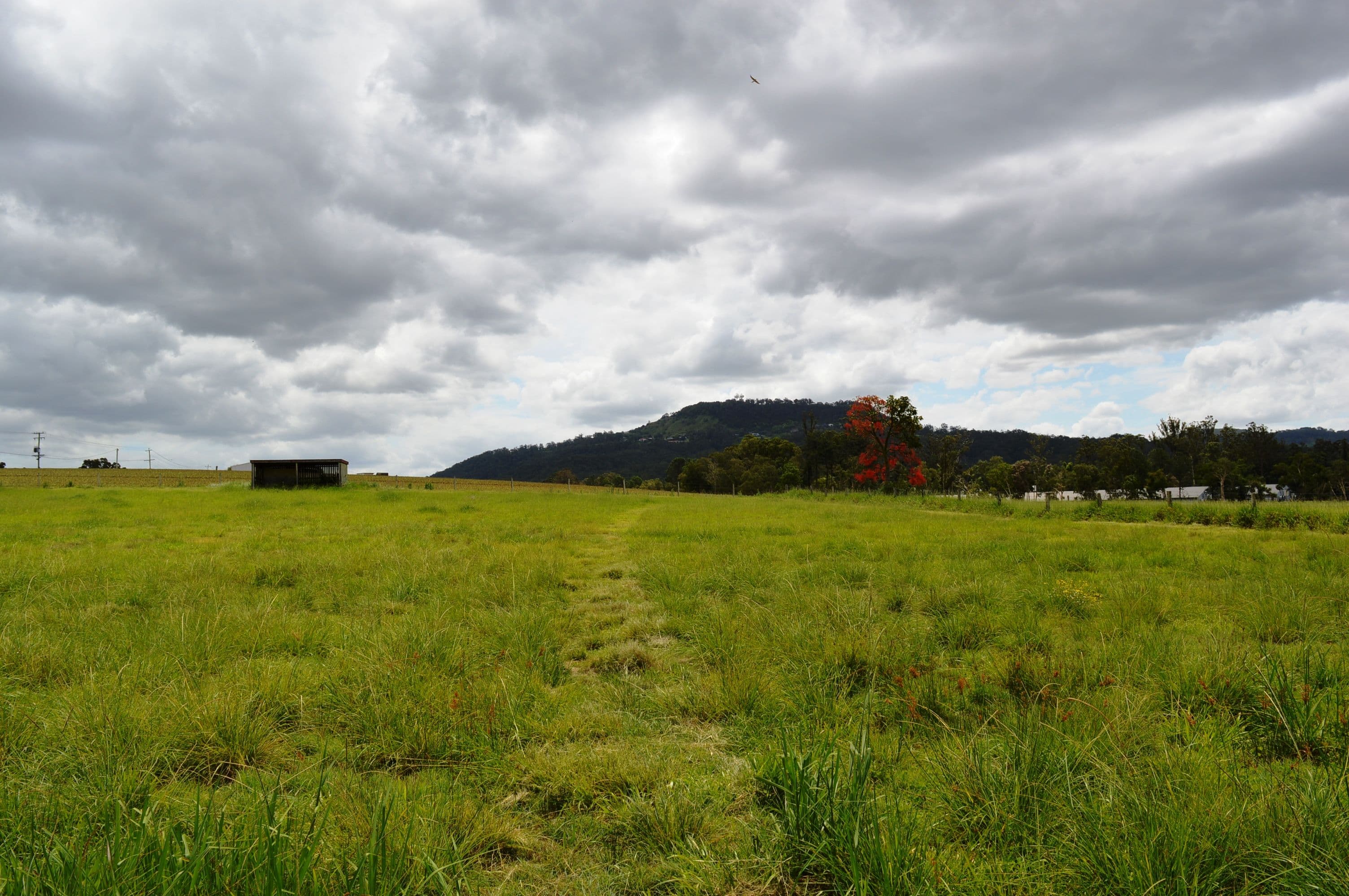 38 Clarkes Road, Beerwah QLD 4519, Beerwah - Thumbnail 4