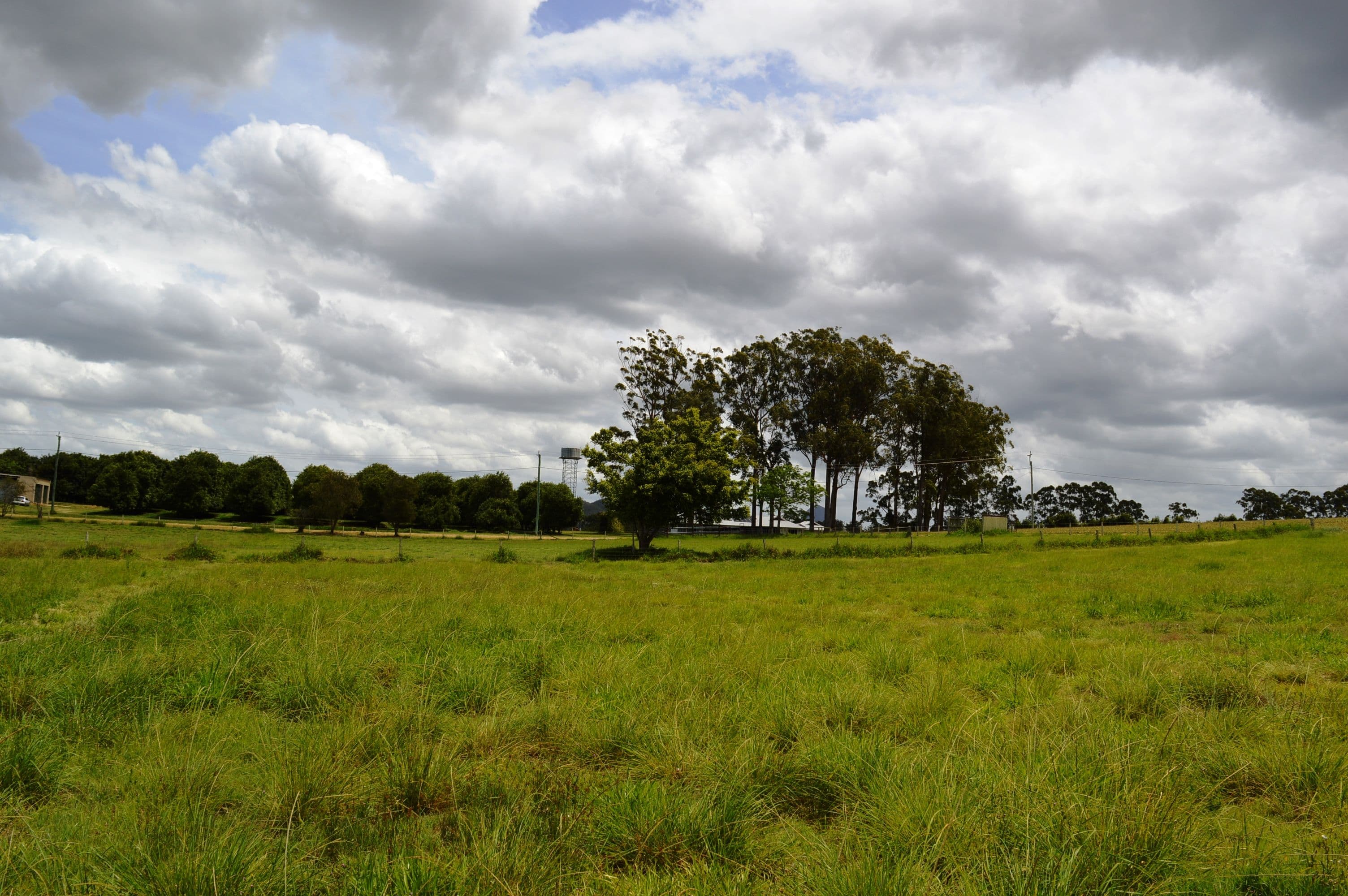 38 Clarkes Road, Beerwah QLD 4519, Beerwah - Thumbnail 5