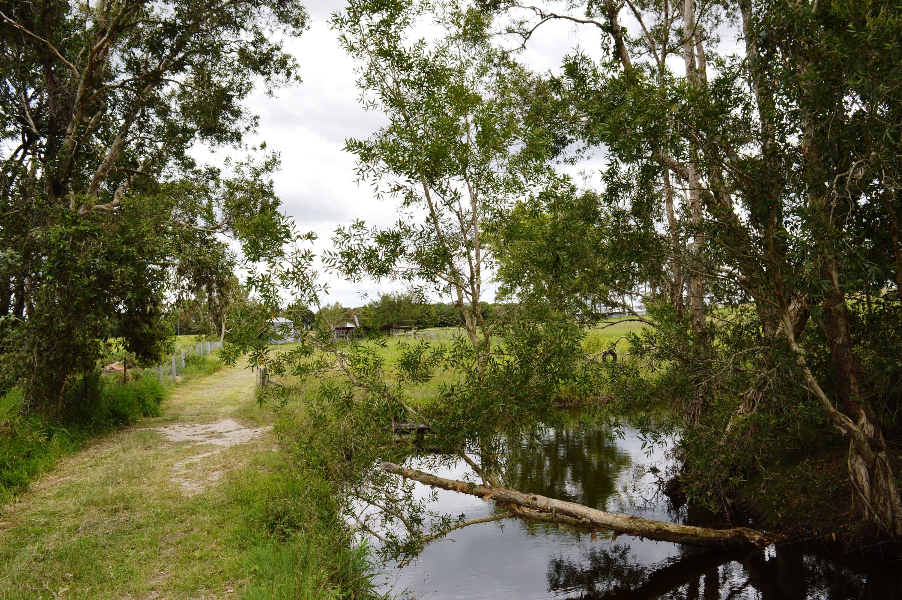38 Clarkes Road, Beerwah QLD 4519, Beerwah - Thumbnail 6