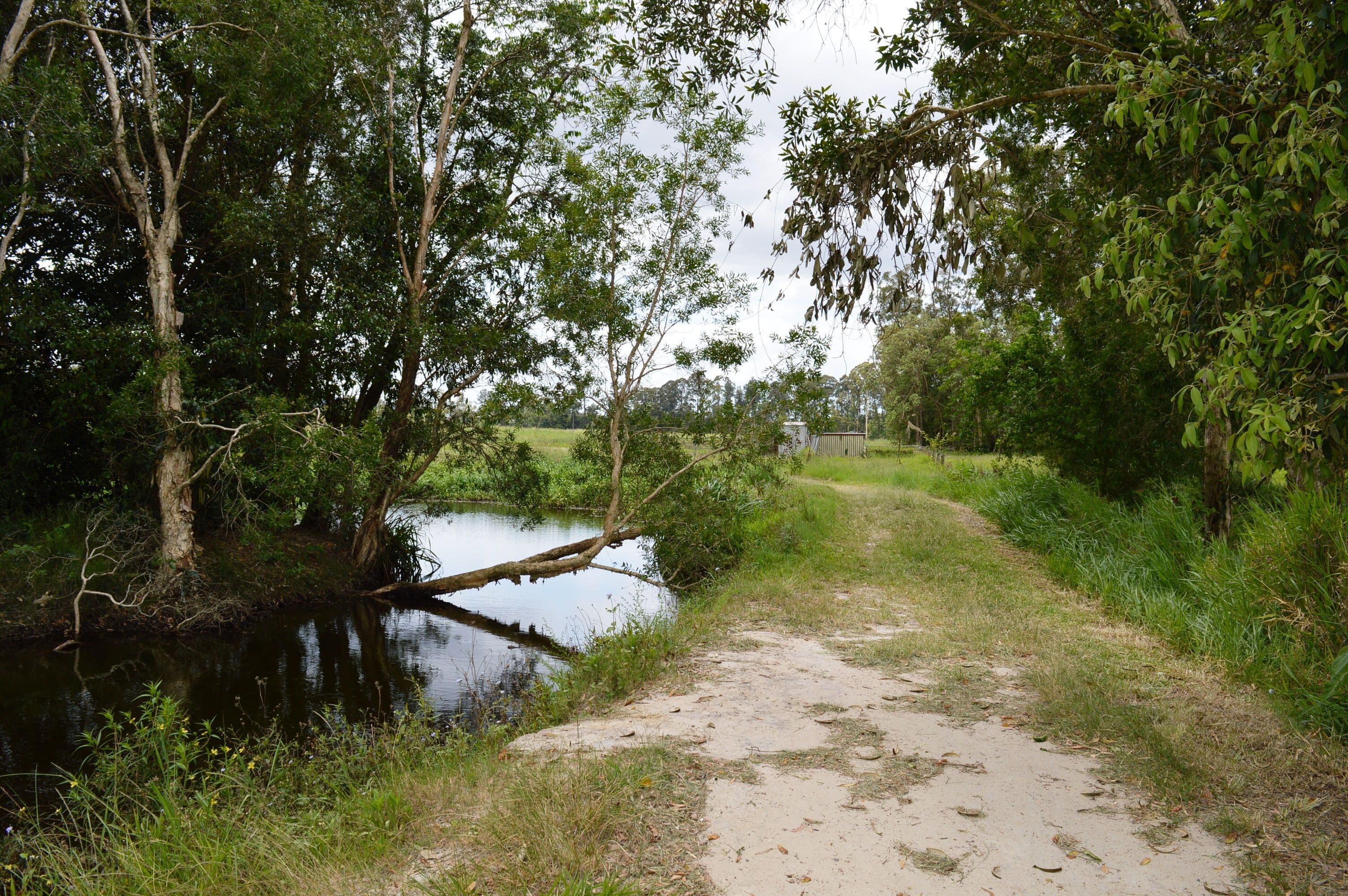 38 Clarkes Road, Beerwah QLD 4519, Beerwah - Thumbnail 7