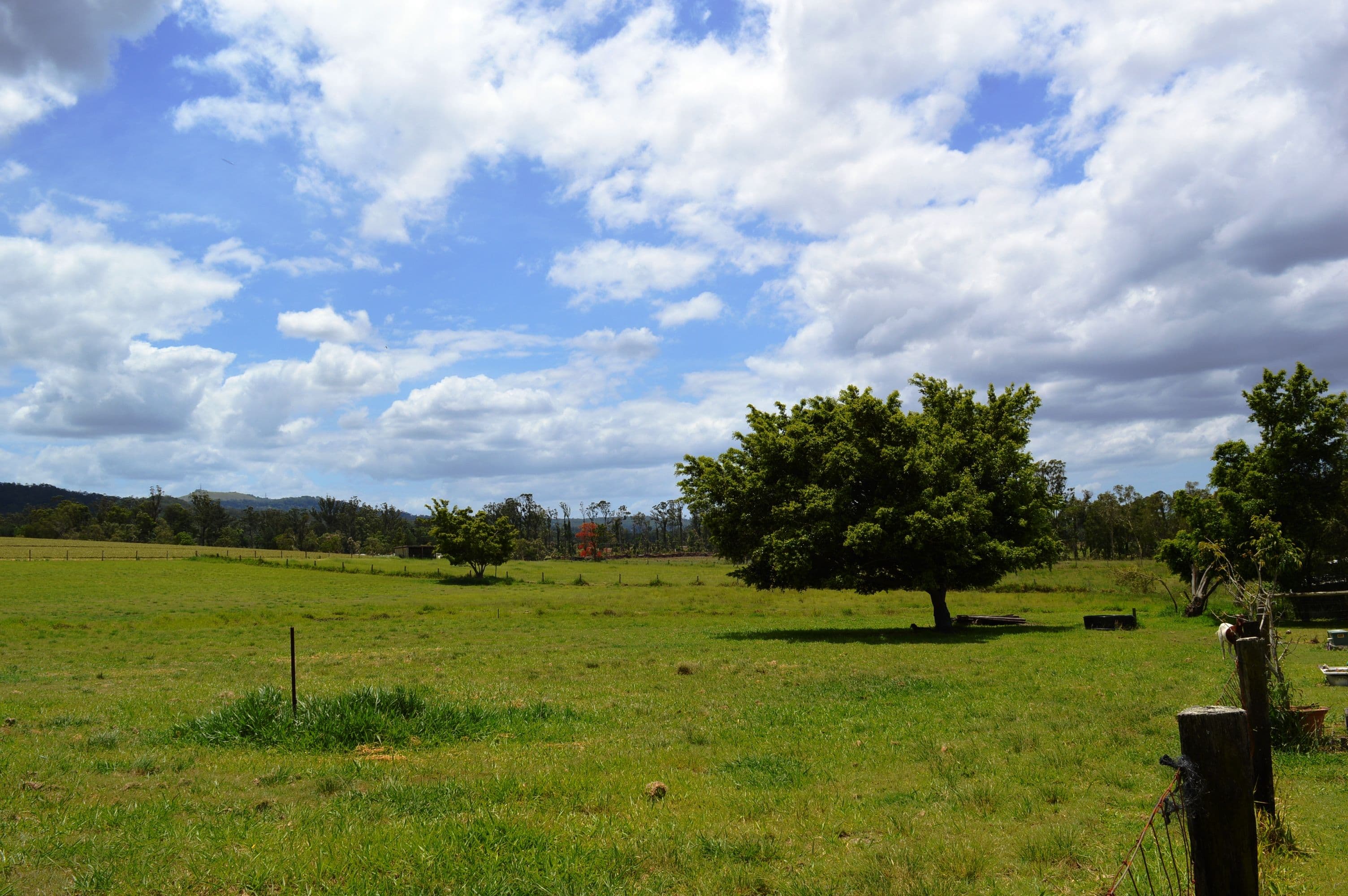 38 Clarkes Road, Beerwah QLD 4519, Beerwah - Thumbnail 8