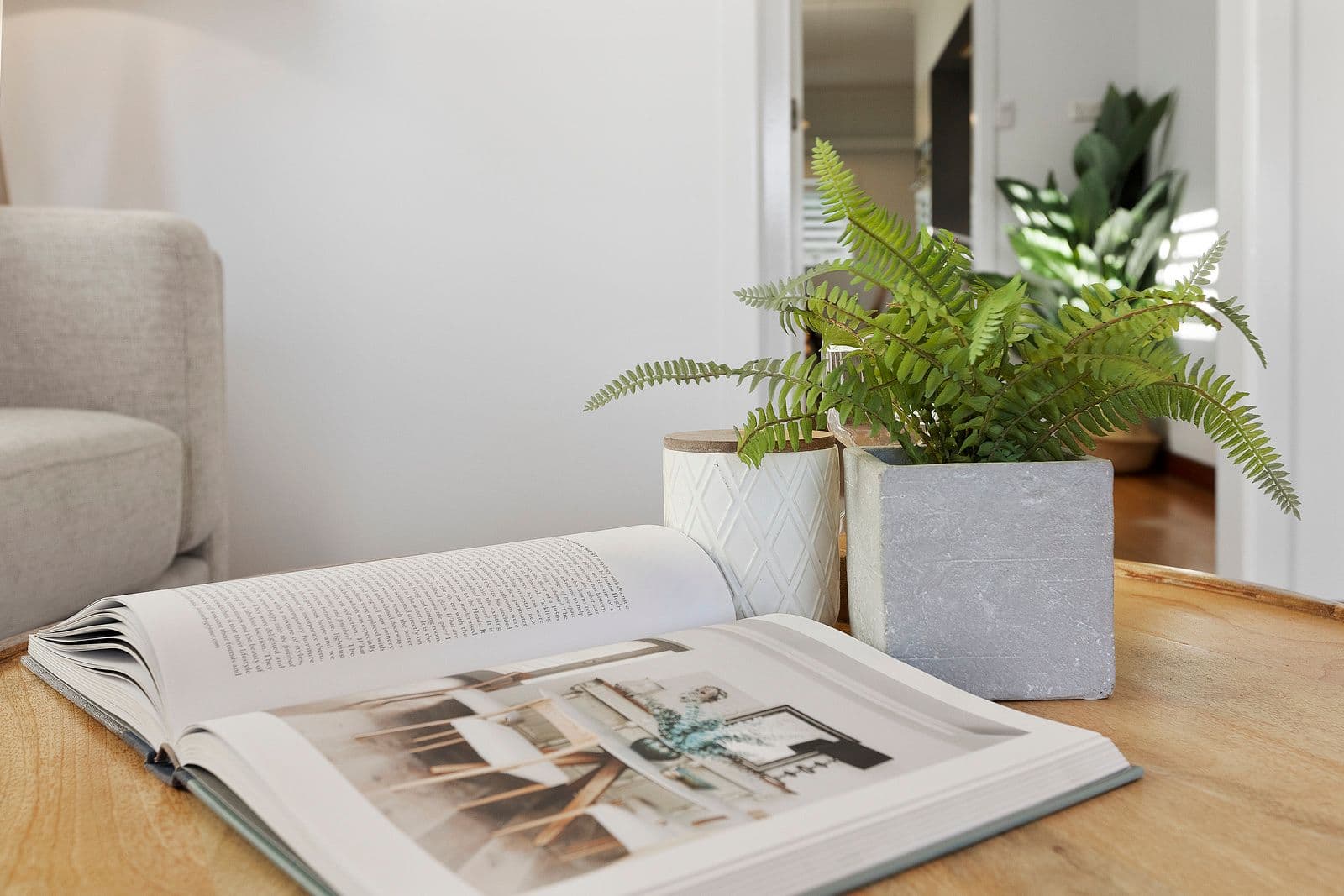 6 Woodville Place, Annerley QLD 4103, Annerley - Thumbnail 4