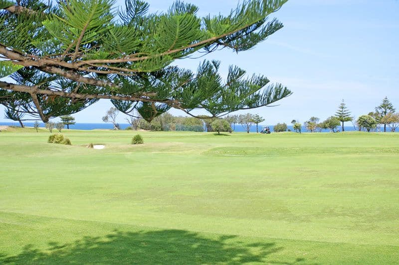 41 Waterview Street, SHELLY BEACH NSW 2261, Shelly Beach - Thumbnail 2