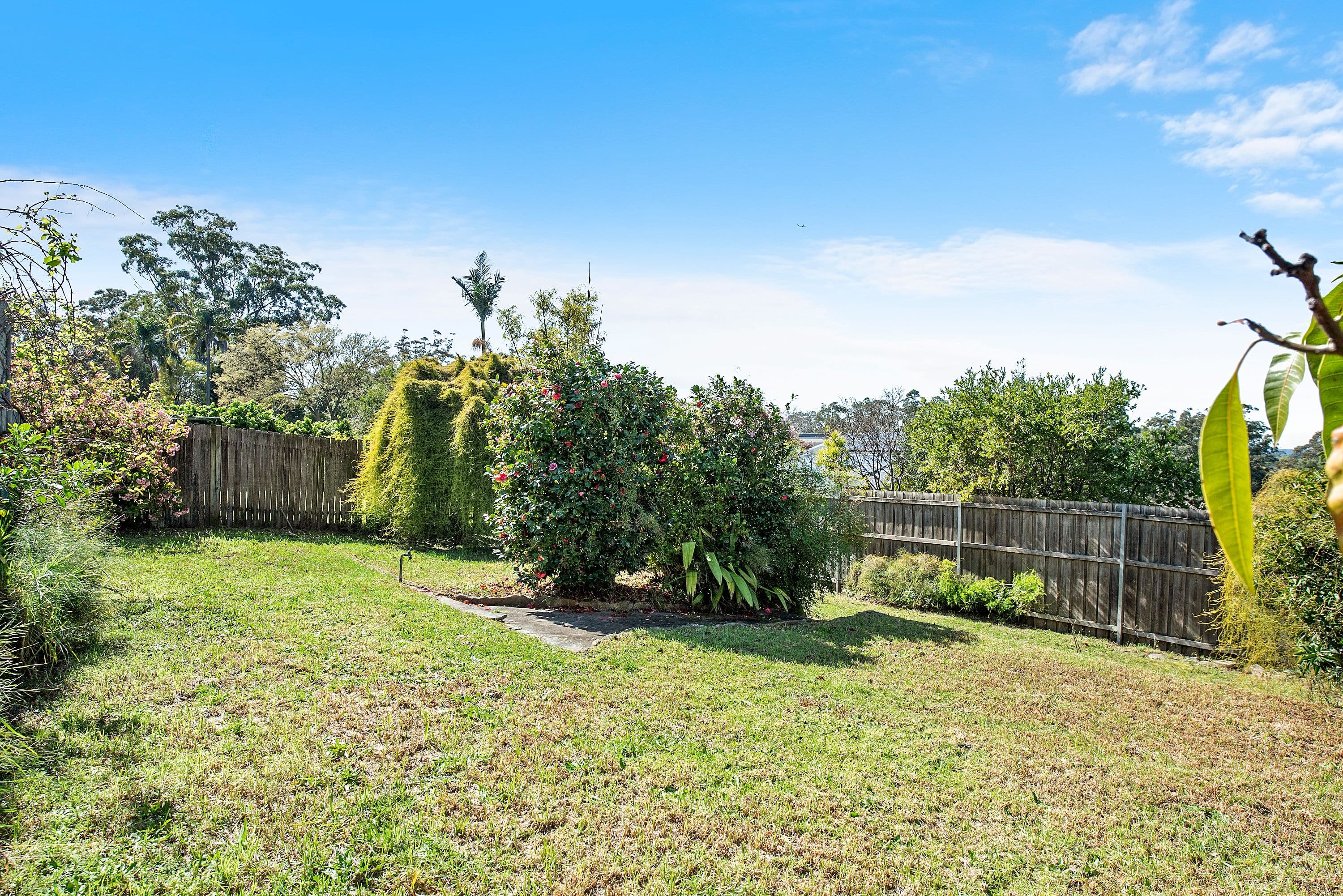 523 Pennant Hills Road, West Pennant Hills - Thumbnail 7