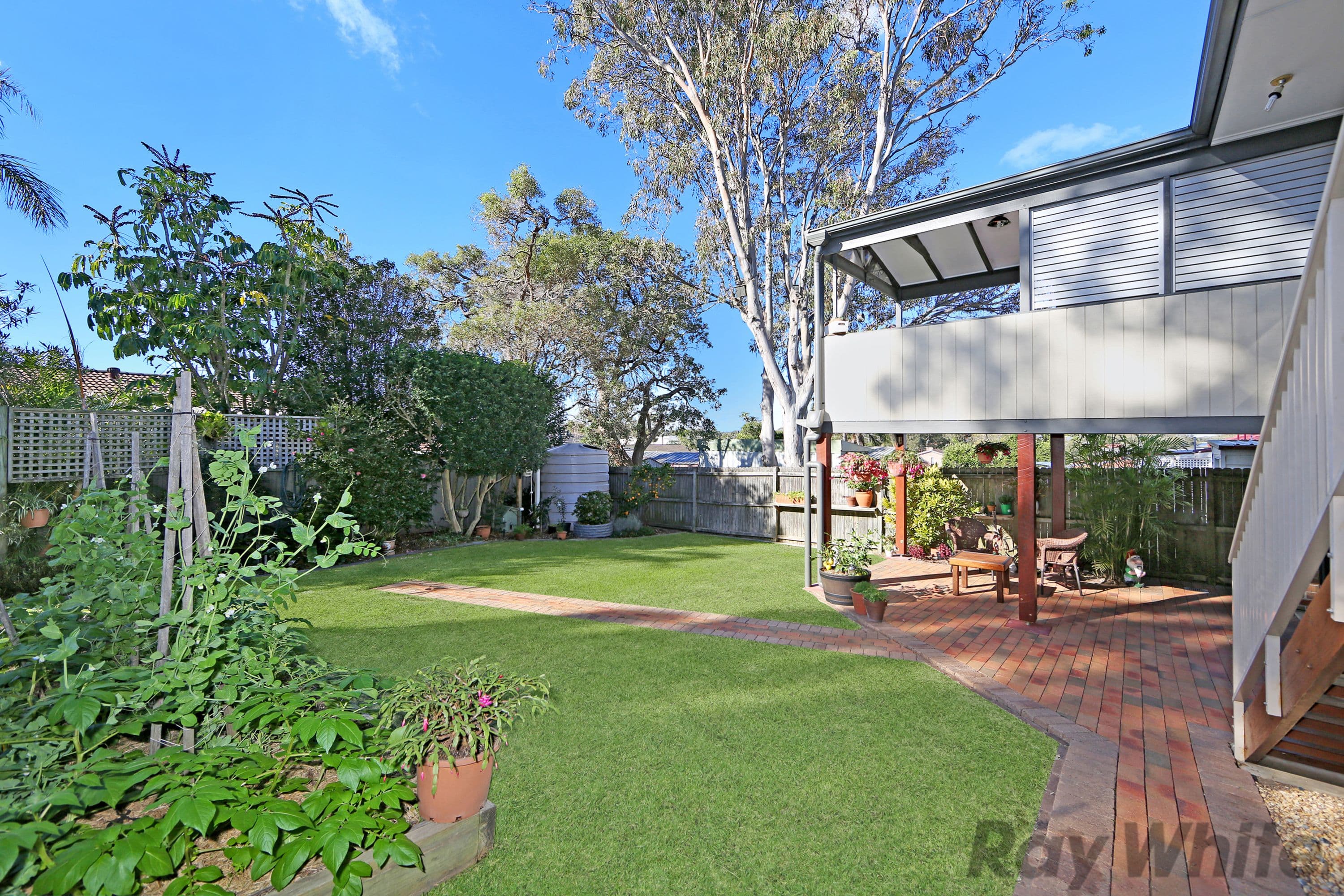 119 Diamond Head Drive, Budgewoi - Thumbnail 7