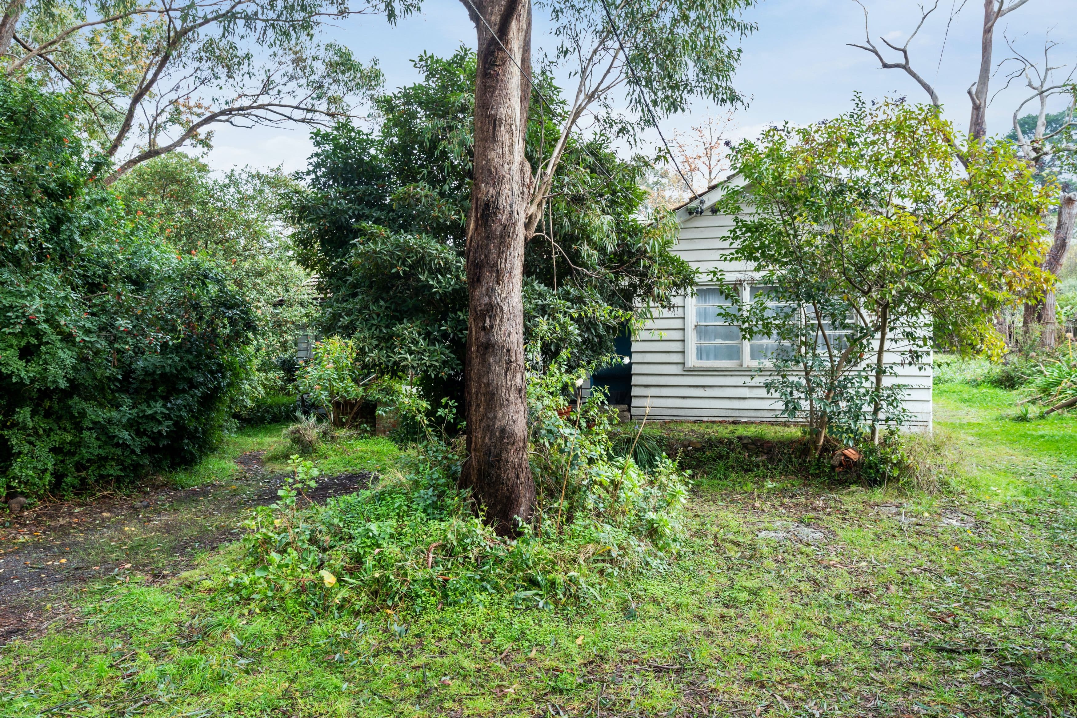 28 Vasey Concourse, Ringwood East VIC 3135, Ringwood East - Image 1