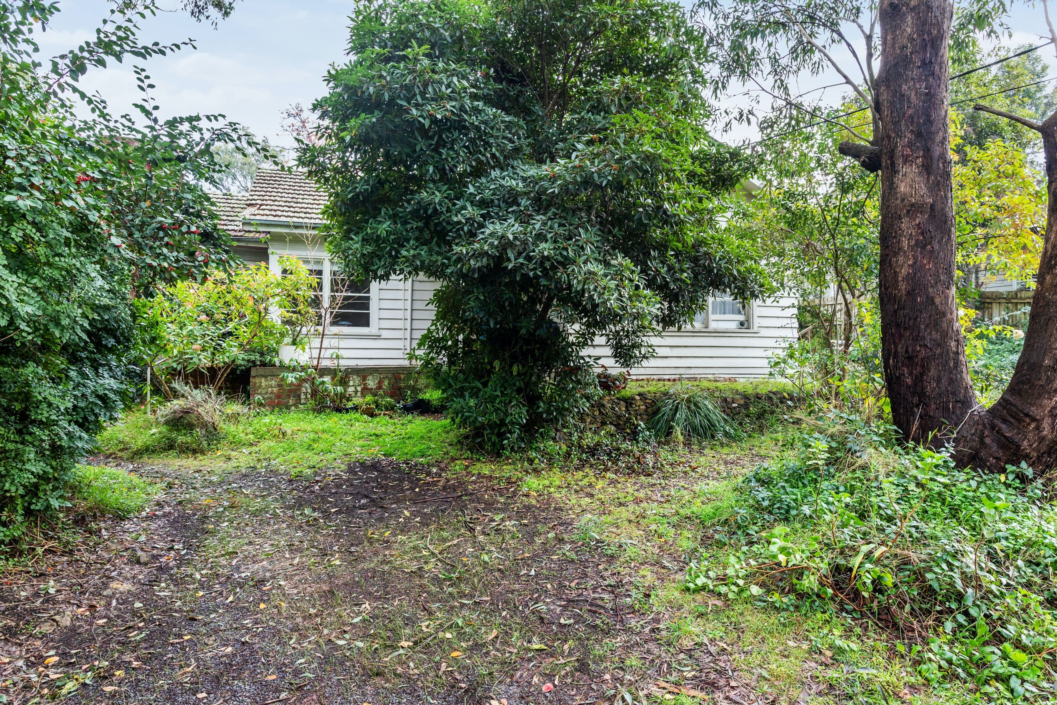 28 Vasey Concourse, Ringwood East VIC 3135, Ringwood East - Thumbnail 2