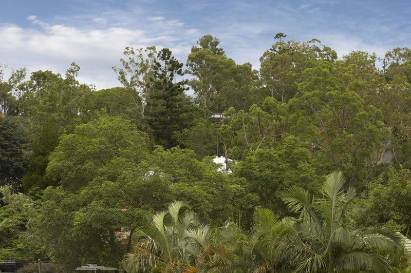 45 Greer Street, BARDON QLD 4065, Bardon - Thumbnail 7