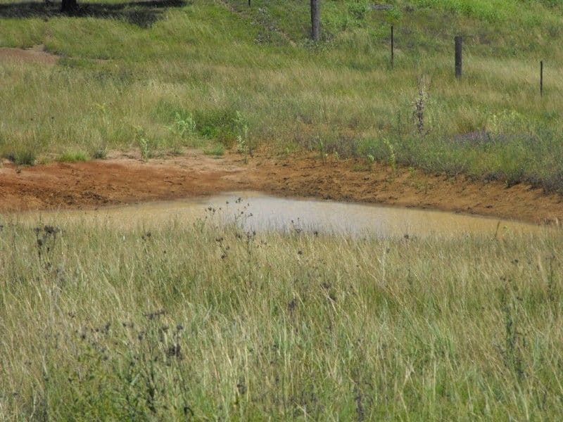 RUNNYMEDE QLD 4615, Runnymede - Thumbnail 2