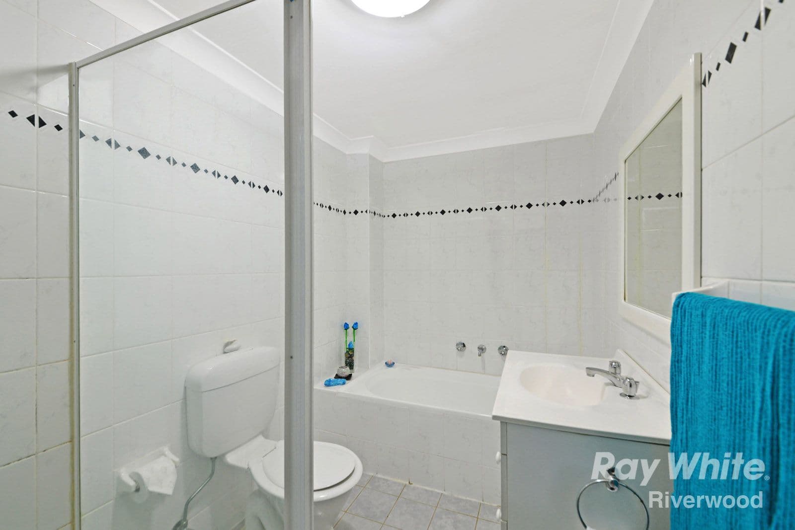 30 Coleridge Street, Riverwood NSW 2210, Riverwood - Thumbnail 6