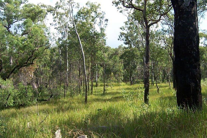 L2-369 Fortis Creek Road, Fortis Creek NSW 2460, Fortis Creek - Image 1
