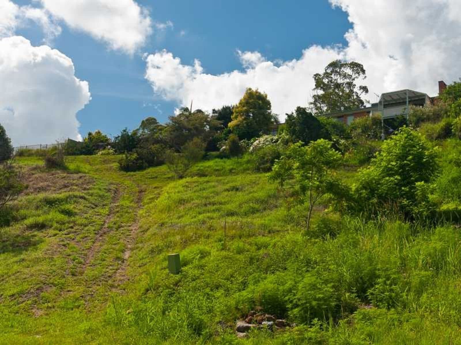 22 Carramar Drive, Goonellabah - Thumbnail 5