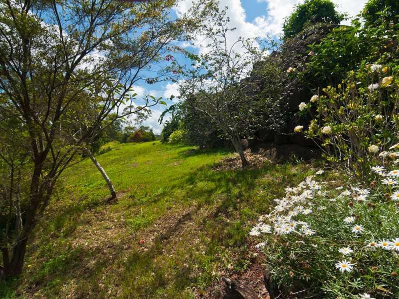 22 Carramar Drive, Goonellabah - Thumbnail 7