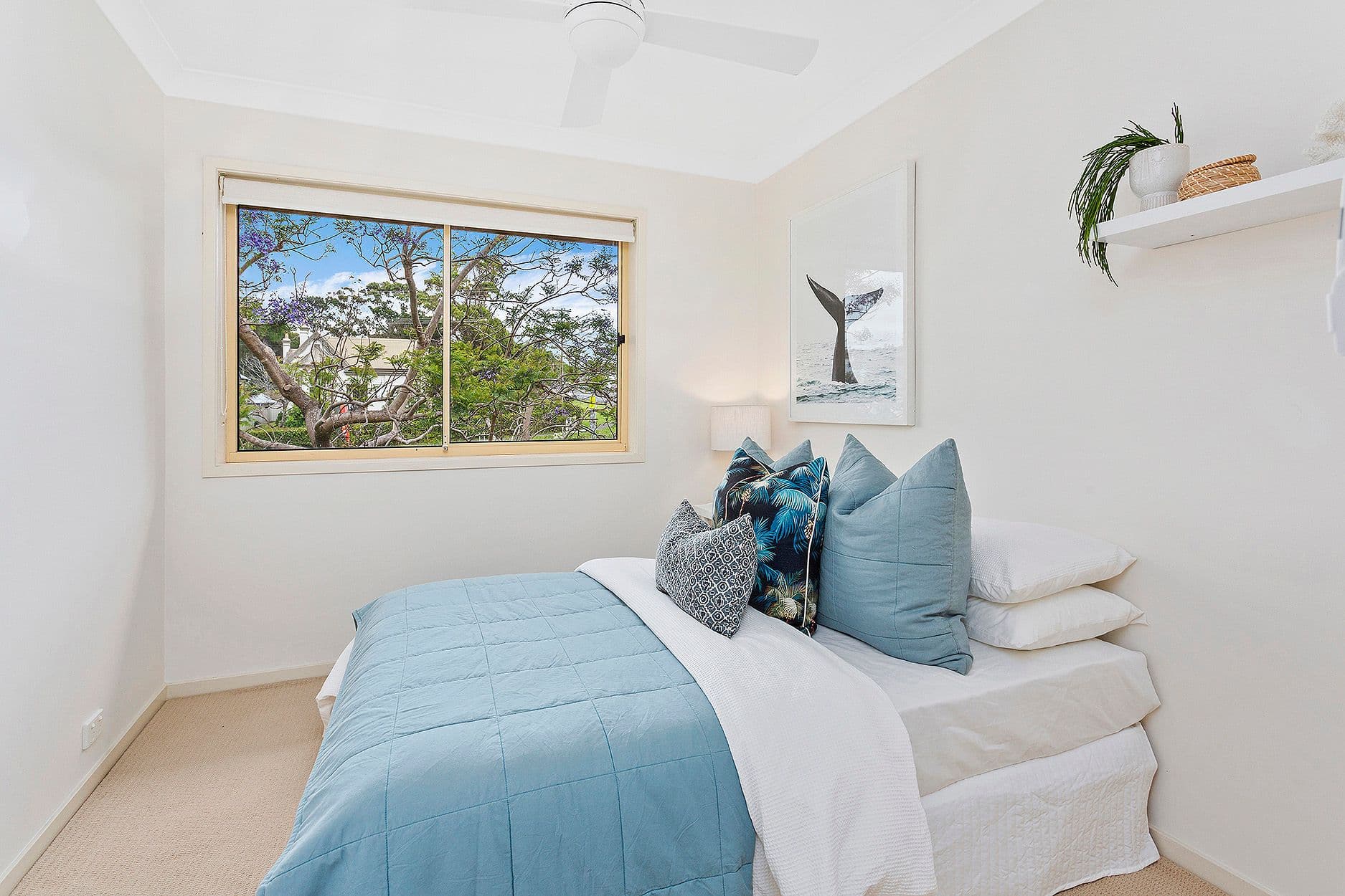 116 Manning Street, Kiama NSW 2533, Kiama - Thumbnail 7