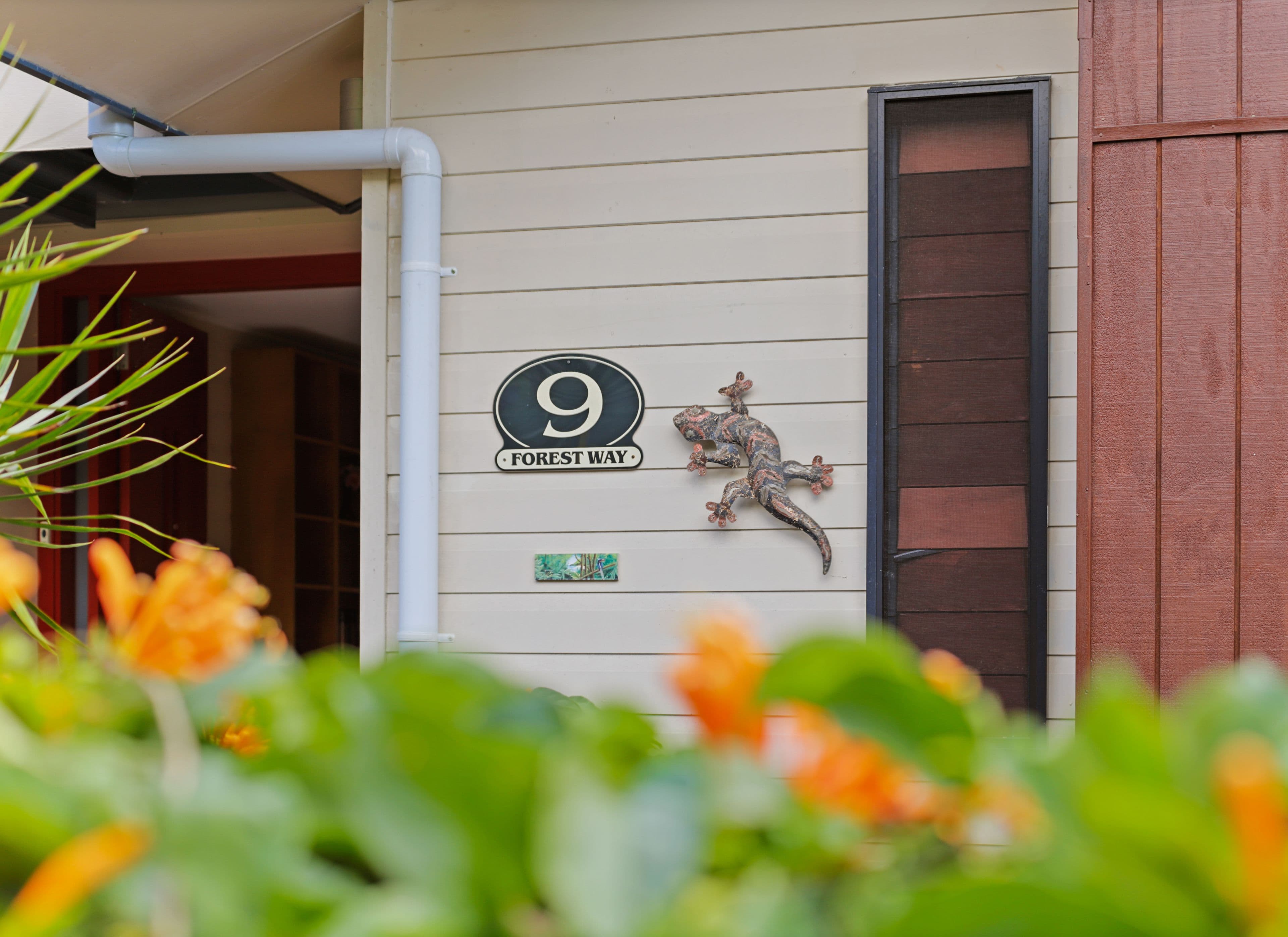 9 Forest Way, Currumbin Valley QLD 4223, Currumbin Valley - Thumbnail 7