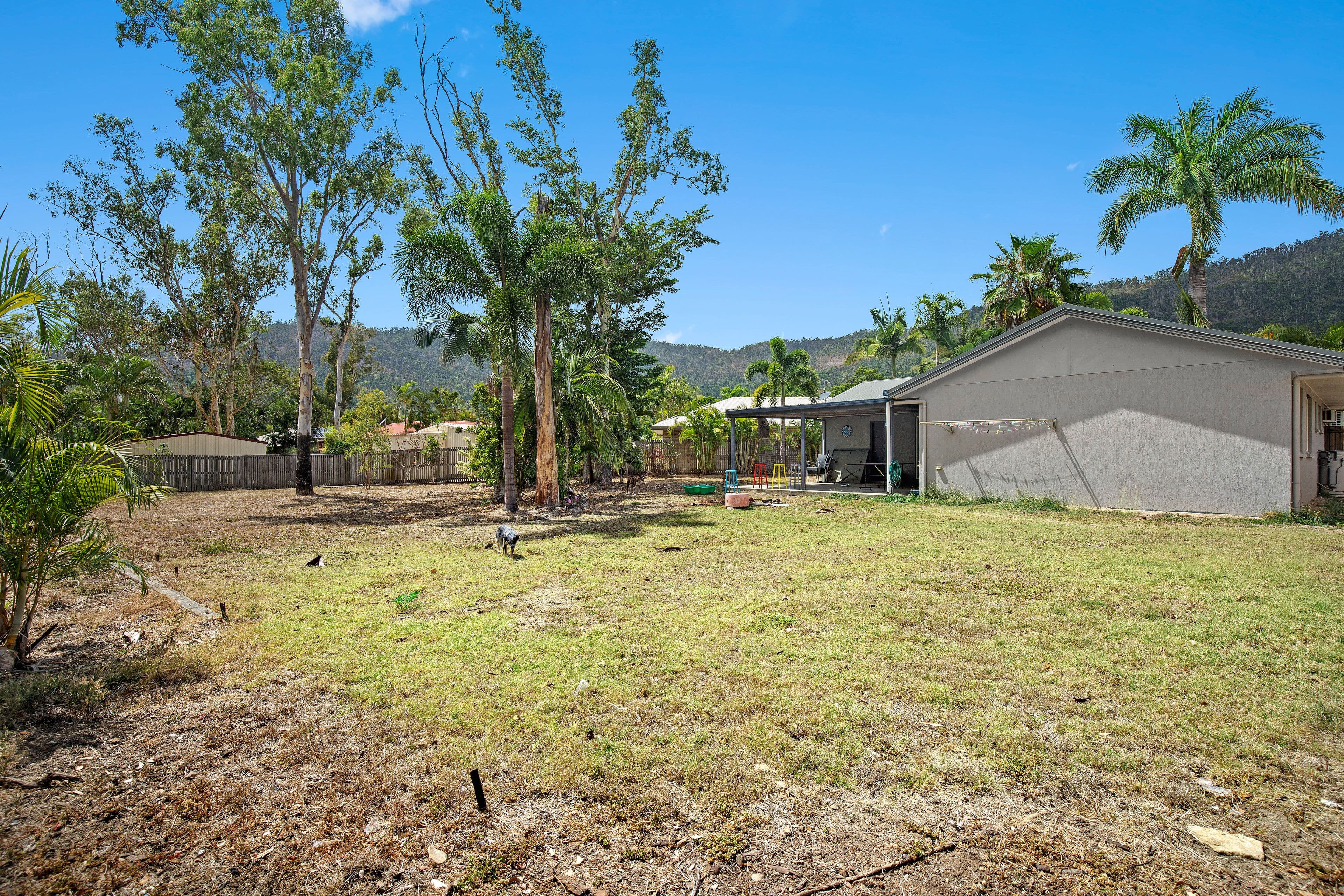4 Wahoo Court, Jubilee Pocket QLD 4802, Jubilee Pocket - Thumbnail 2