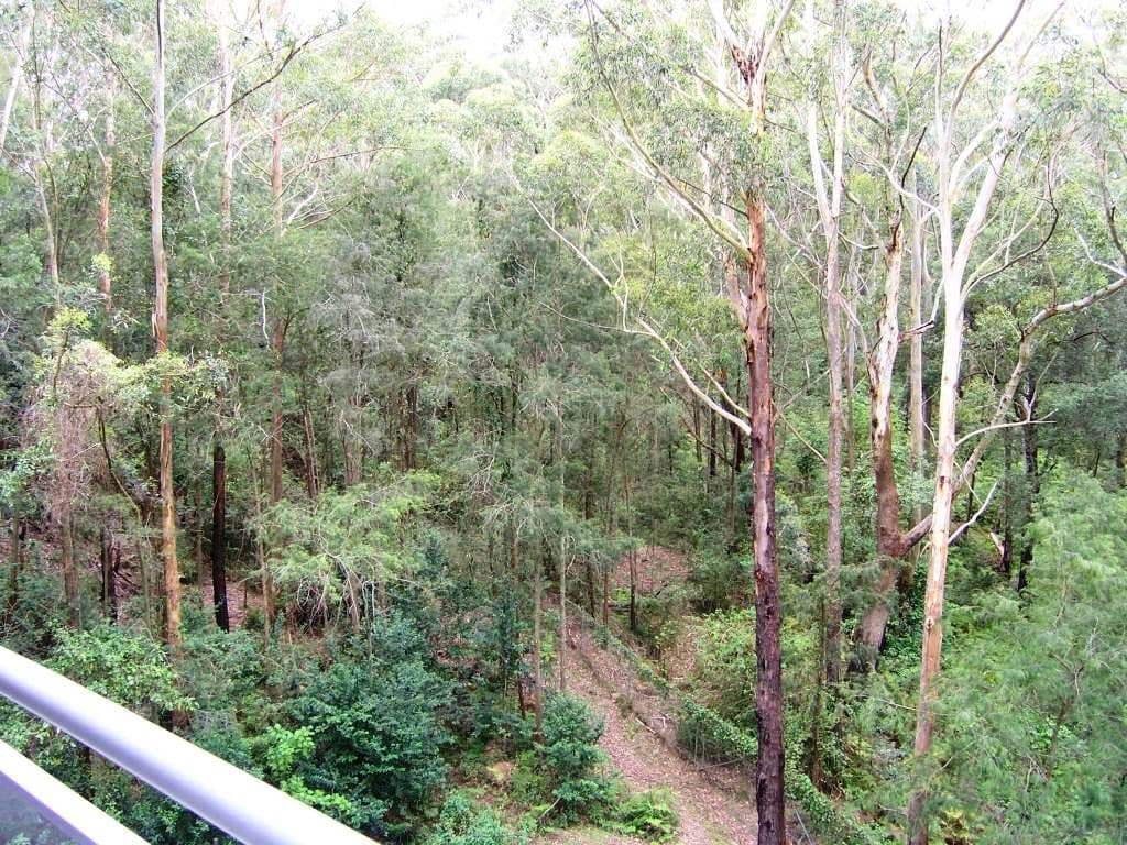 80 John Whiteway Drive, GOSFORD NSW 2250, Gosford - Thumbnail 7