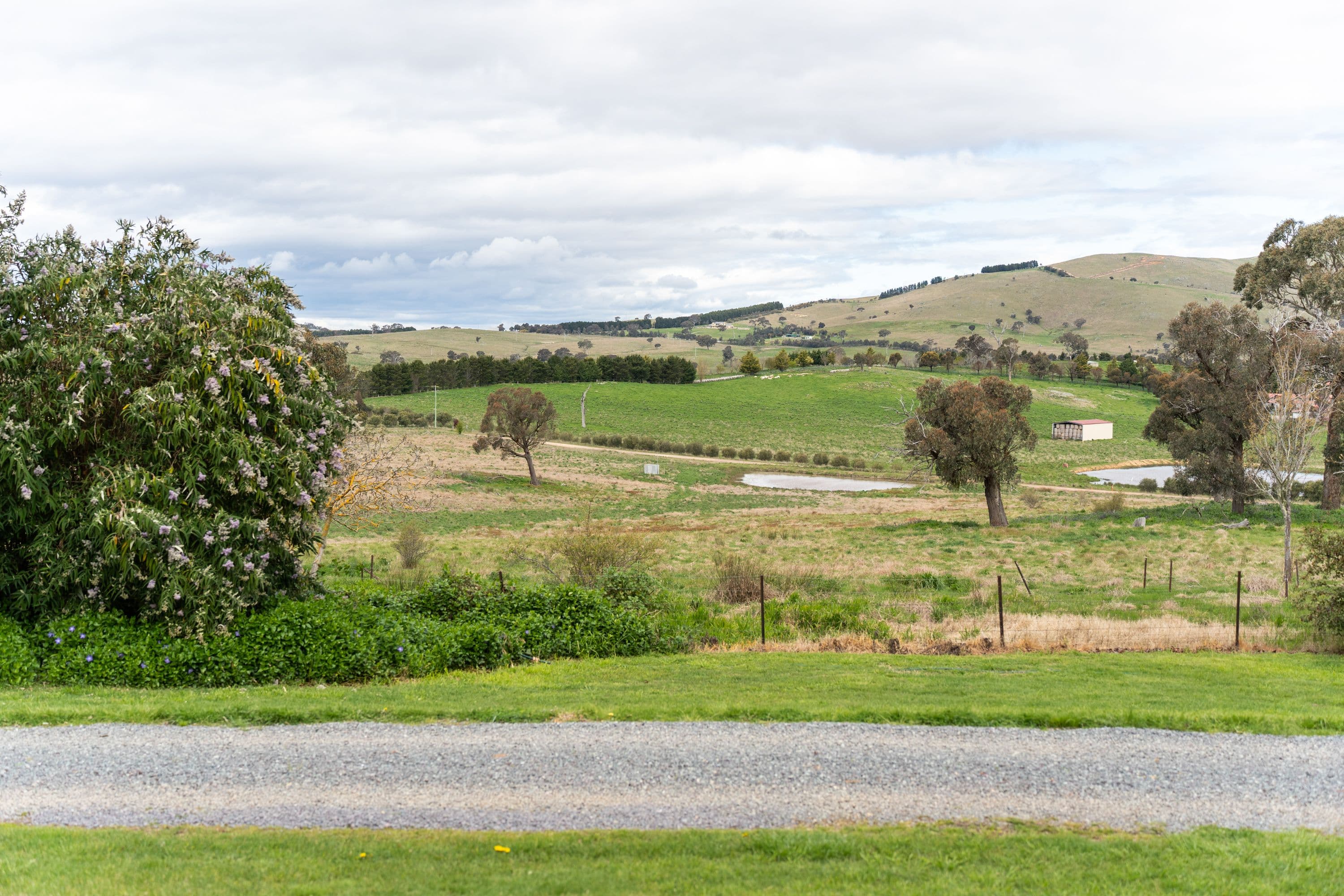 765 Nanima Road, Springrange NSW 2618, Springrange - Thumbnail 8