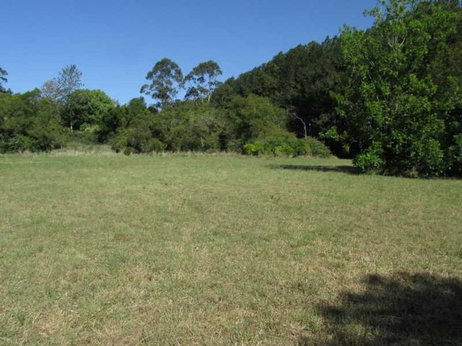 562C Bangalow Road, Richmond Hill - Thumbnail 7