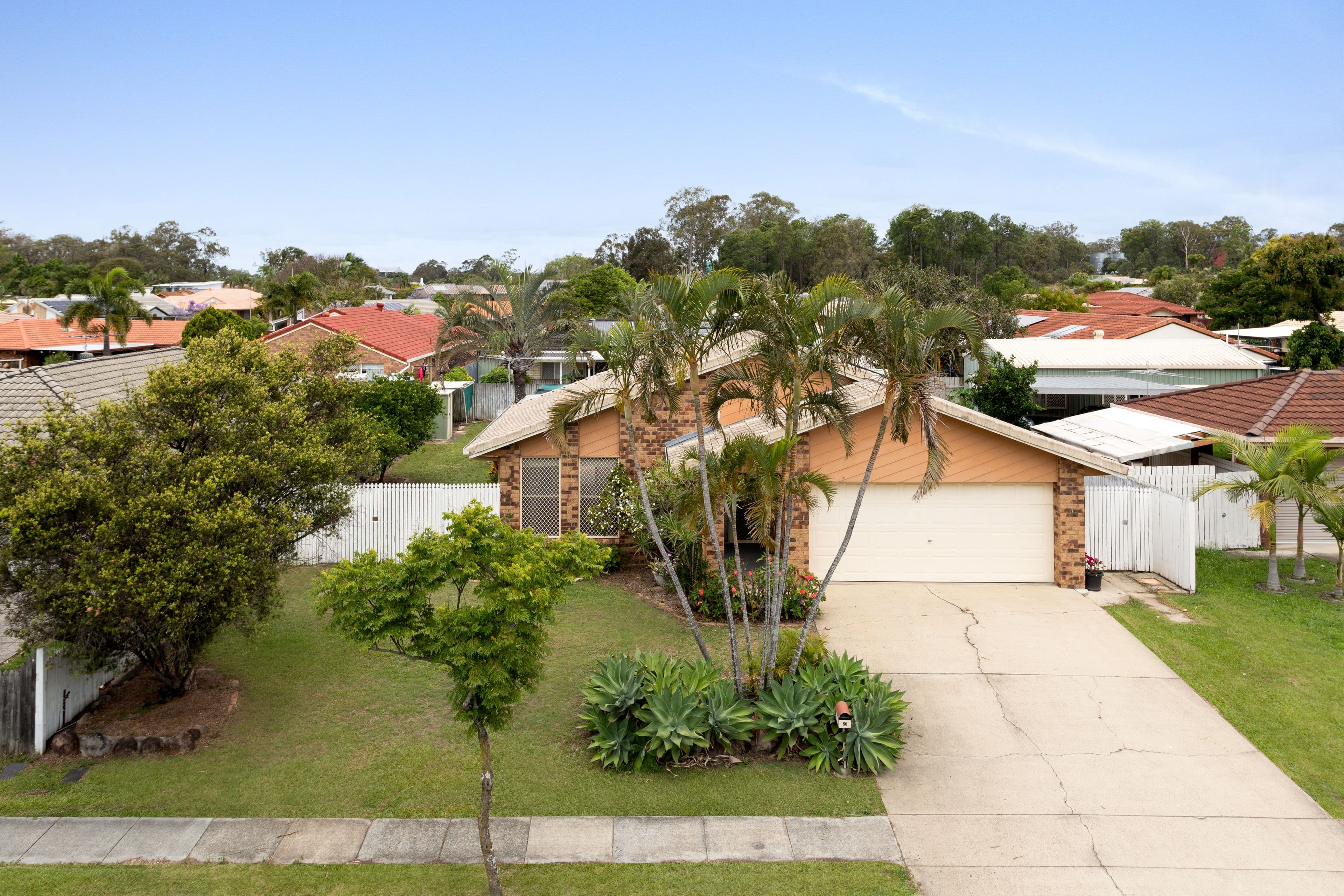 56 Balcara Avenue, Carseldine QLD 4034, Carseldine - Image 1