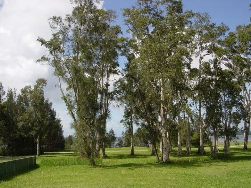 SOUTHPORT, QLD, Southport - Thumbnail 3