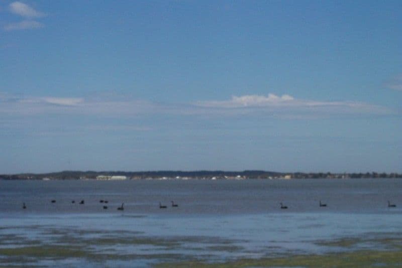 SOUTHPORT, QLD, Southport - Thumbnail 4
