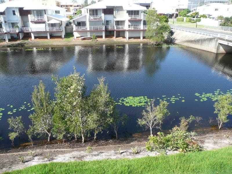 43 Reef Water Circuit, CABARITA BEACH NSW 2488, Cabarita Beach - Thumbnail 7