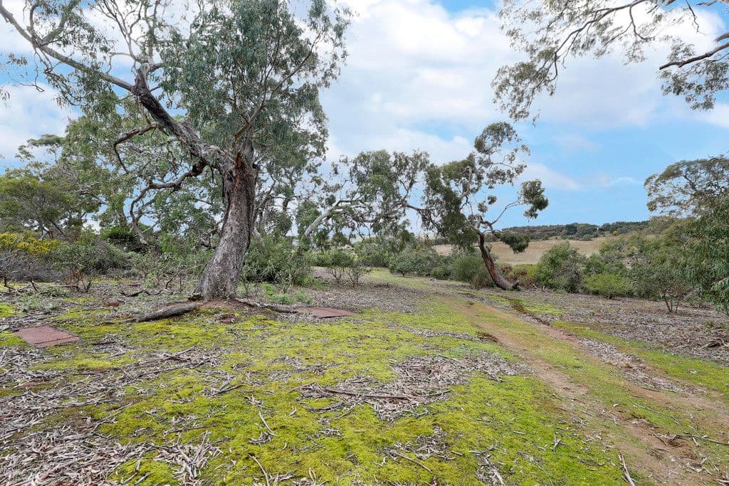 1804 Hamilton Highway, MURGHEBOLUC VIC 3218, Murgheboluc - Thumbnail 2